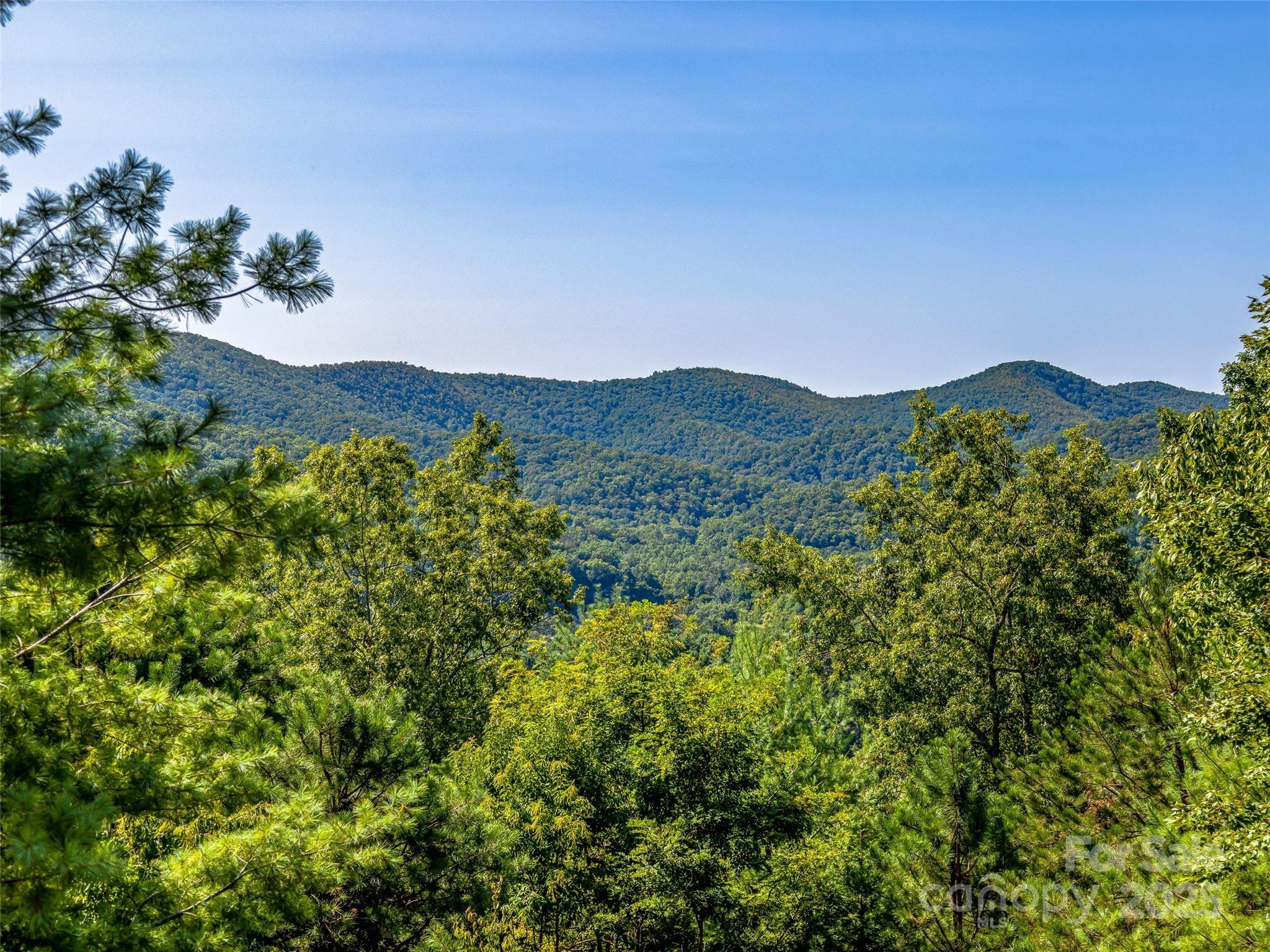 Homestead at Mills River - Residential