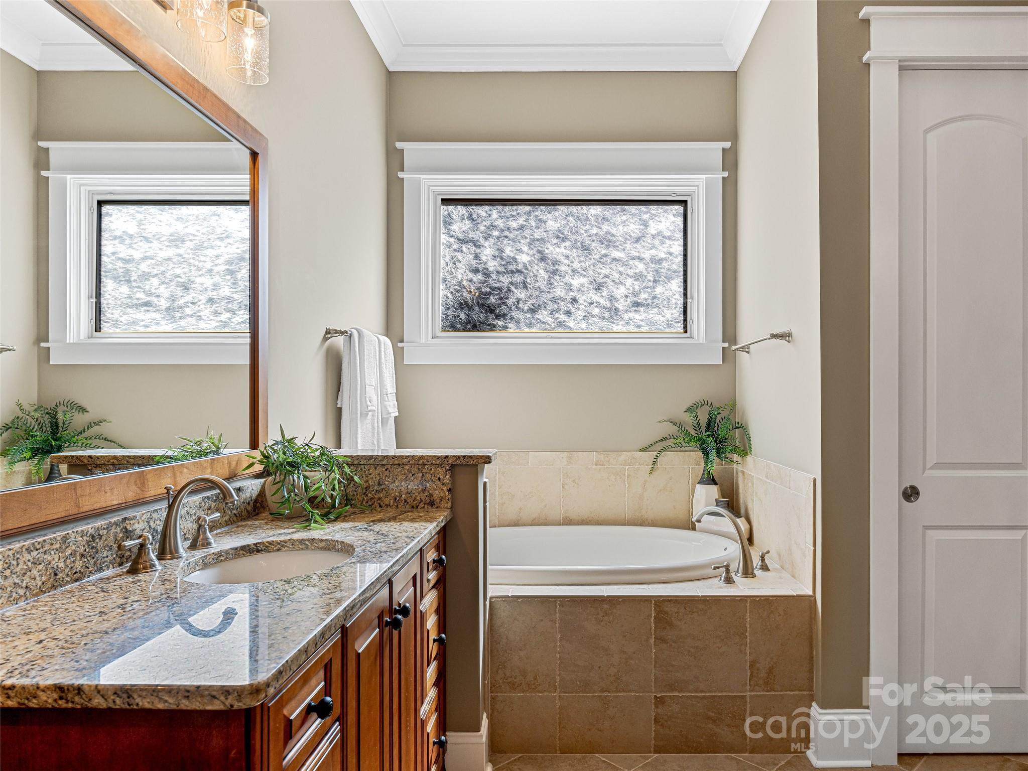 Homestead at Mills River - Residential