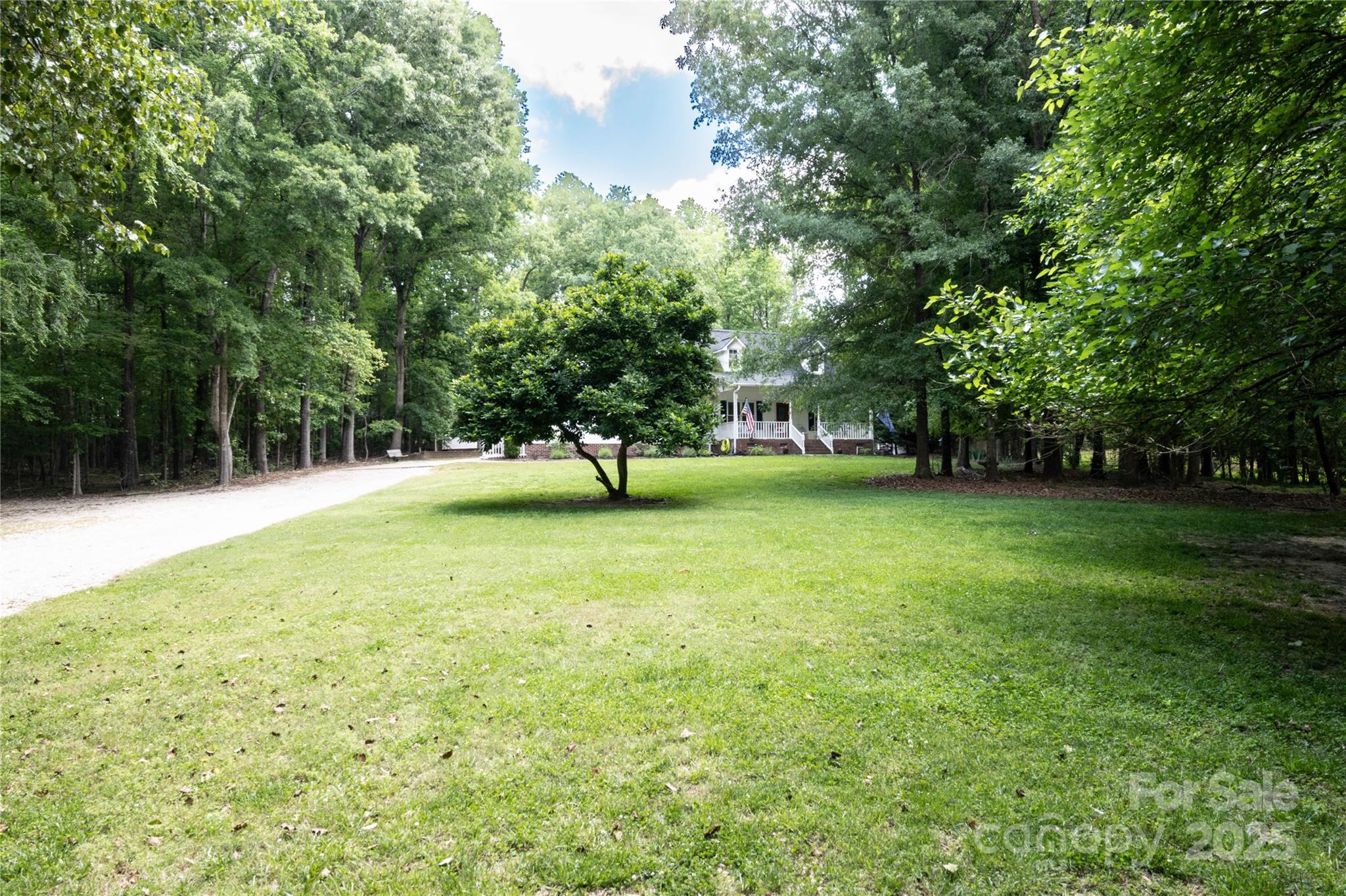 Briar Patch - Residential