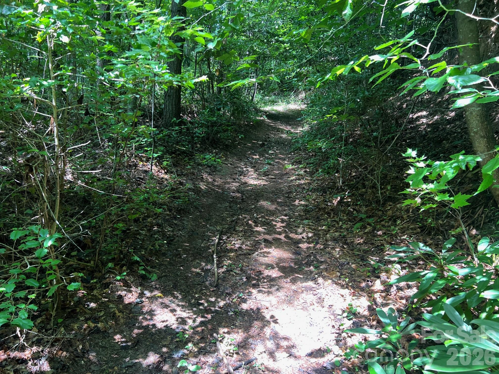 0 Old Johns River Road