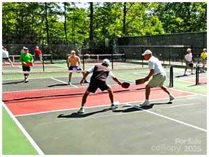 Connestee Falls - Residential