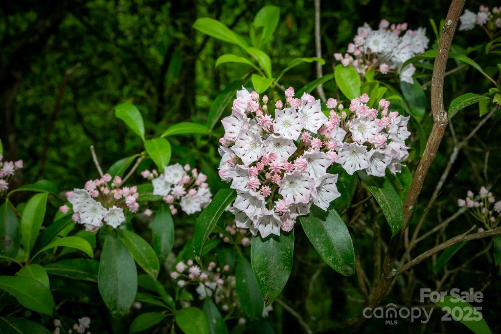 Connestee Falls - Residential