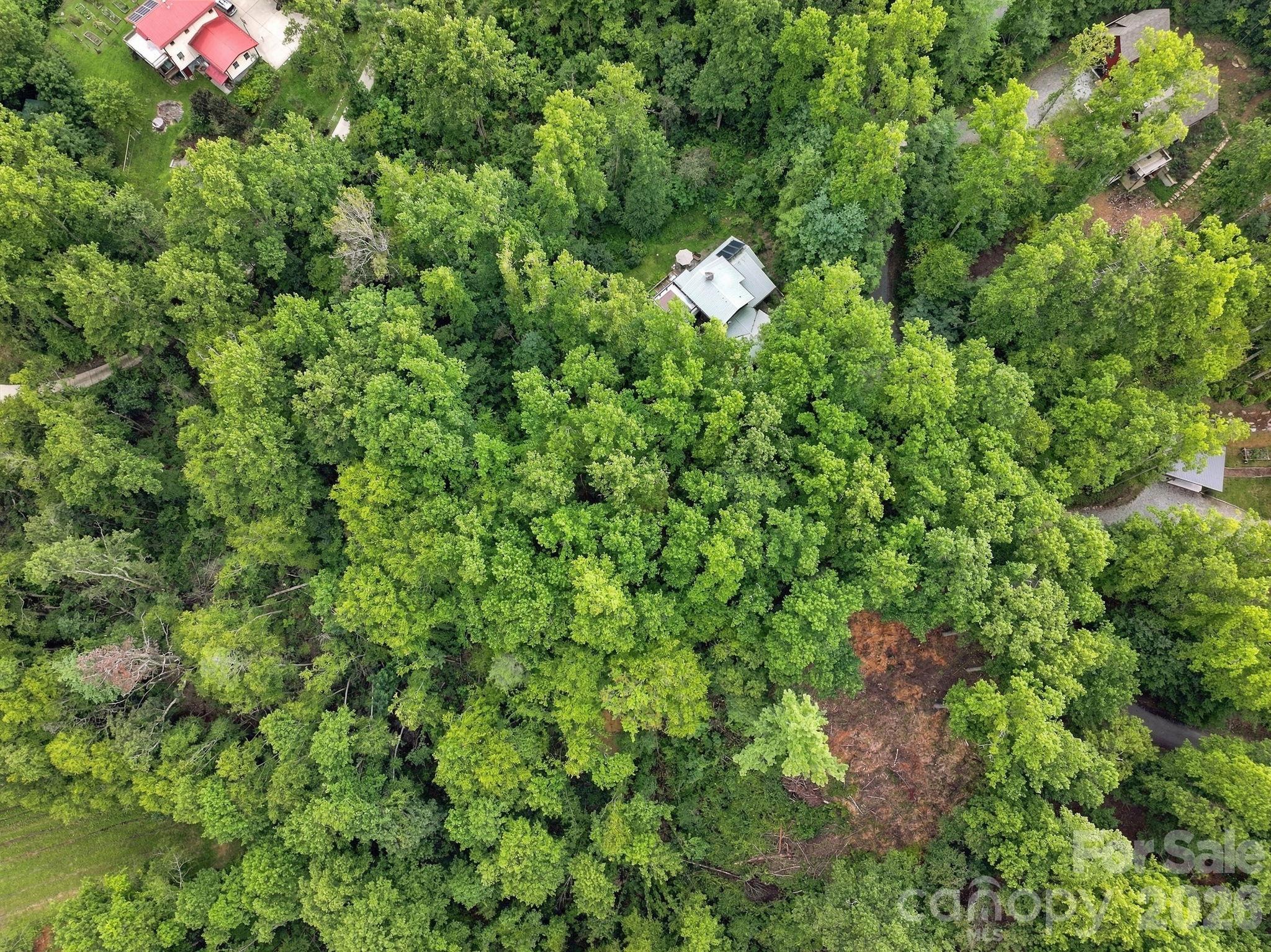 193 Fern Cove Lane