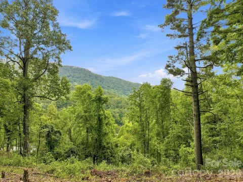 Photo of 193 Fern Cove Lane, Gerton, NC 28735 (MLS # 4422988)