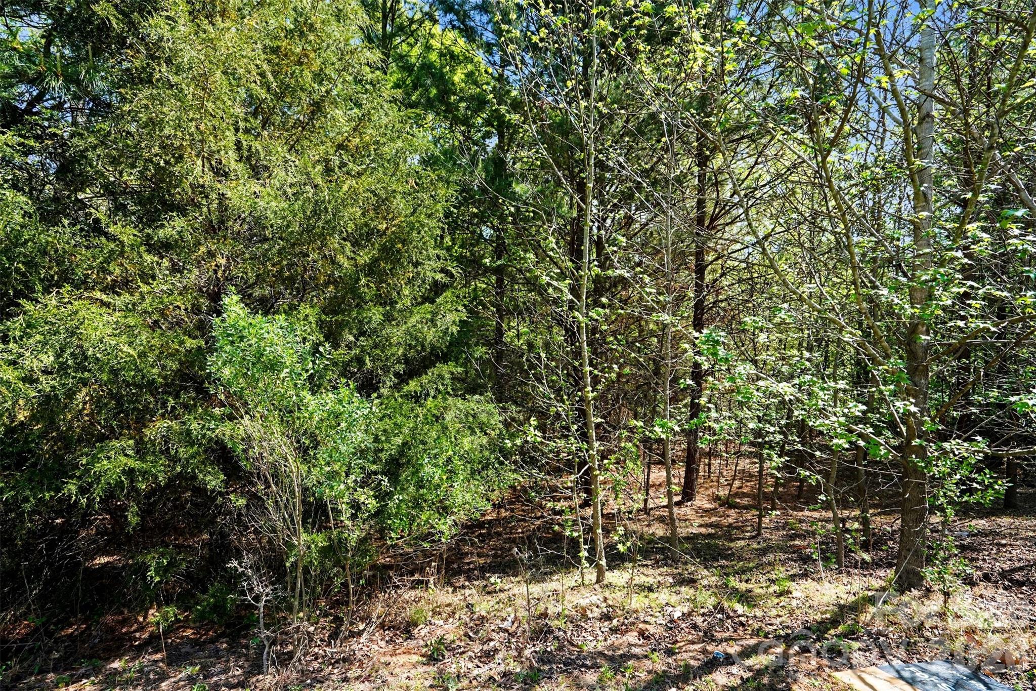 Reflection Pointe - Land