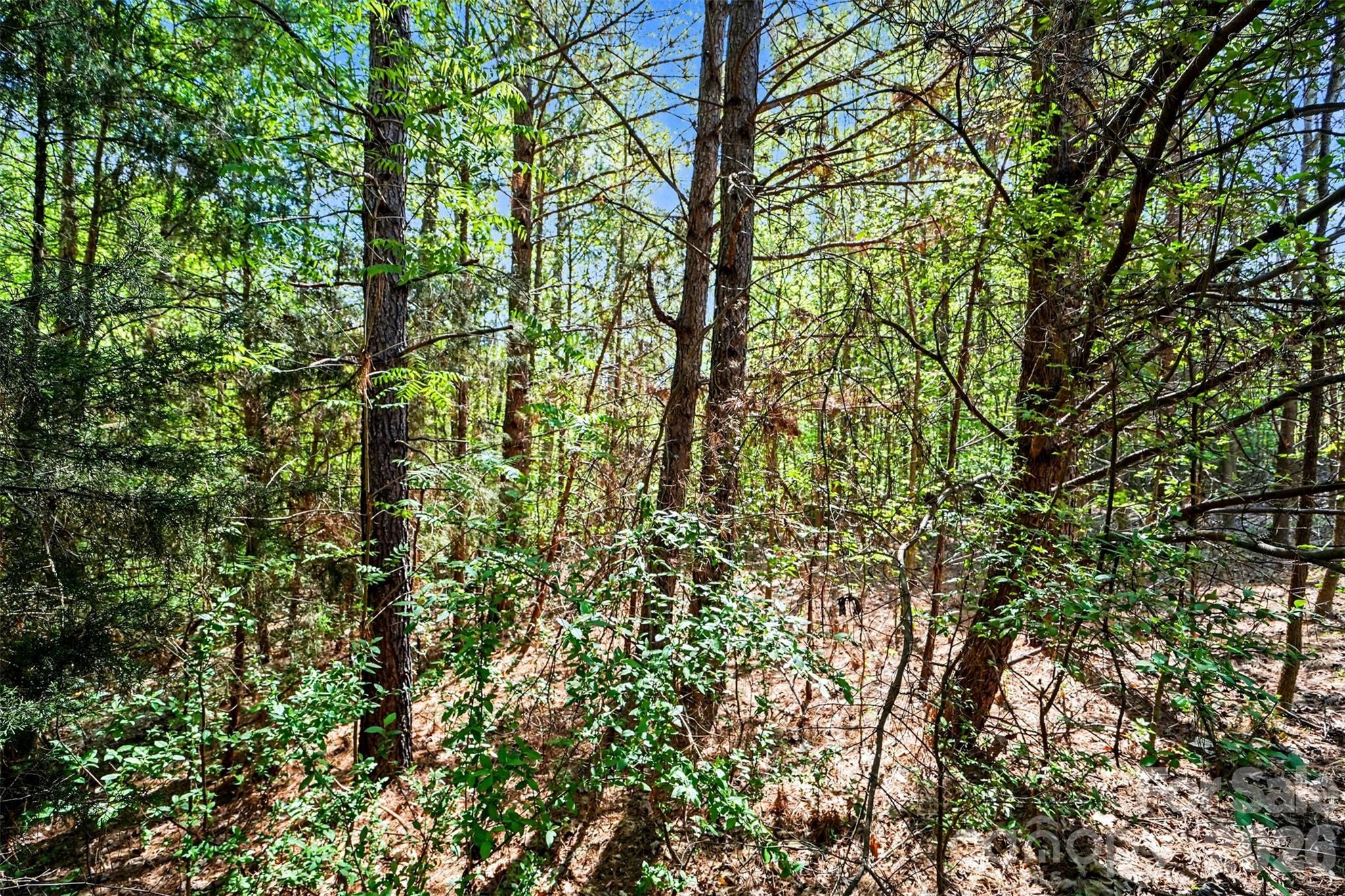 Reflection Pointe - Land