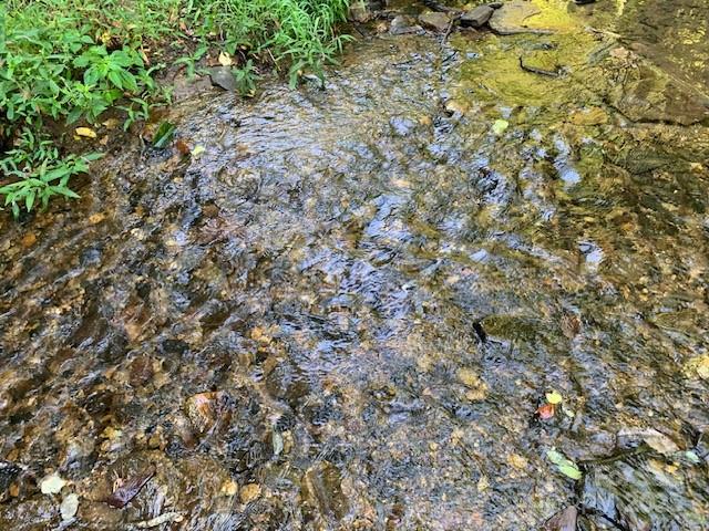 5712 HOLBERT COVE Road 6.51AC
