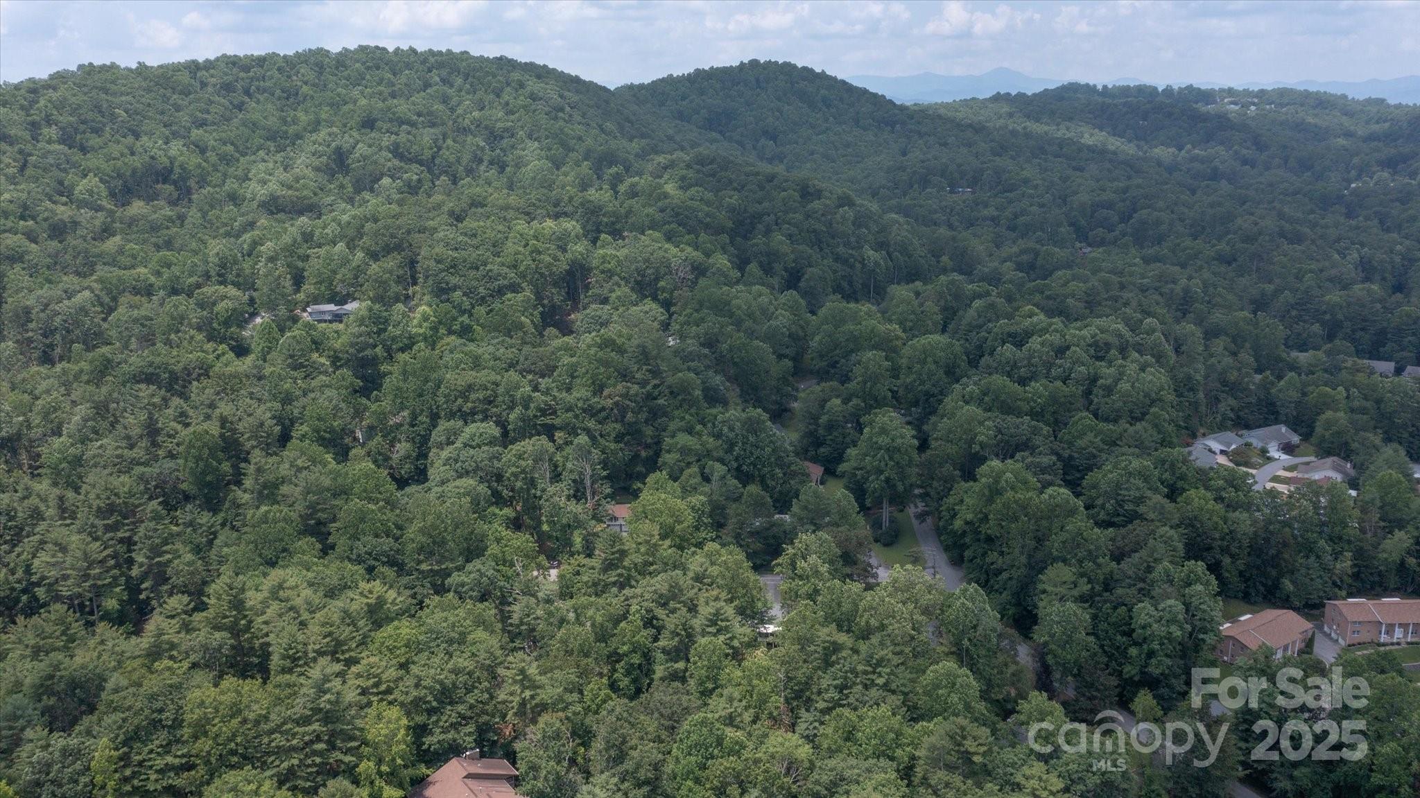 Dellwood - Residential