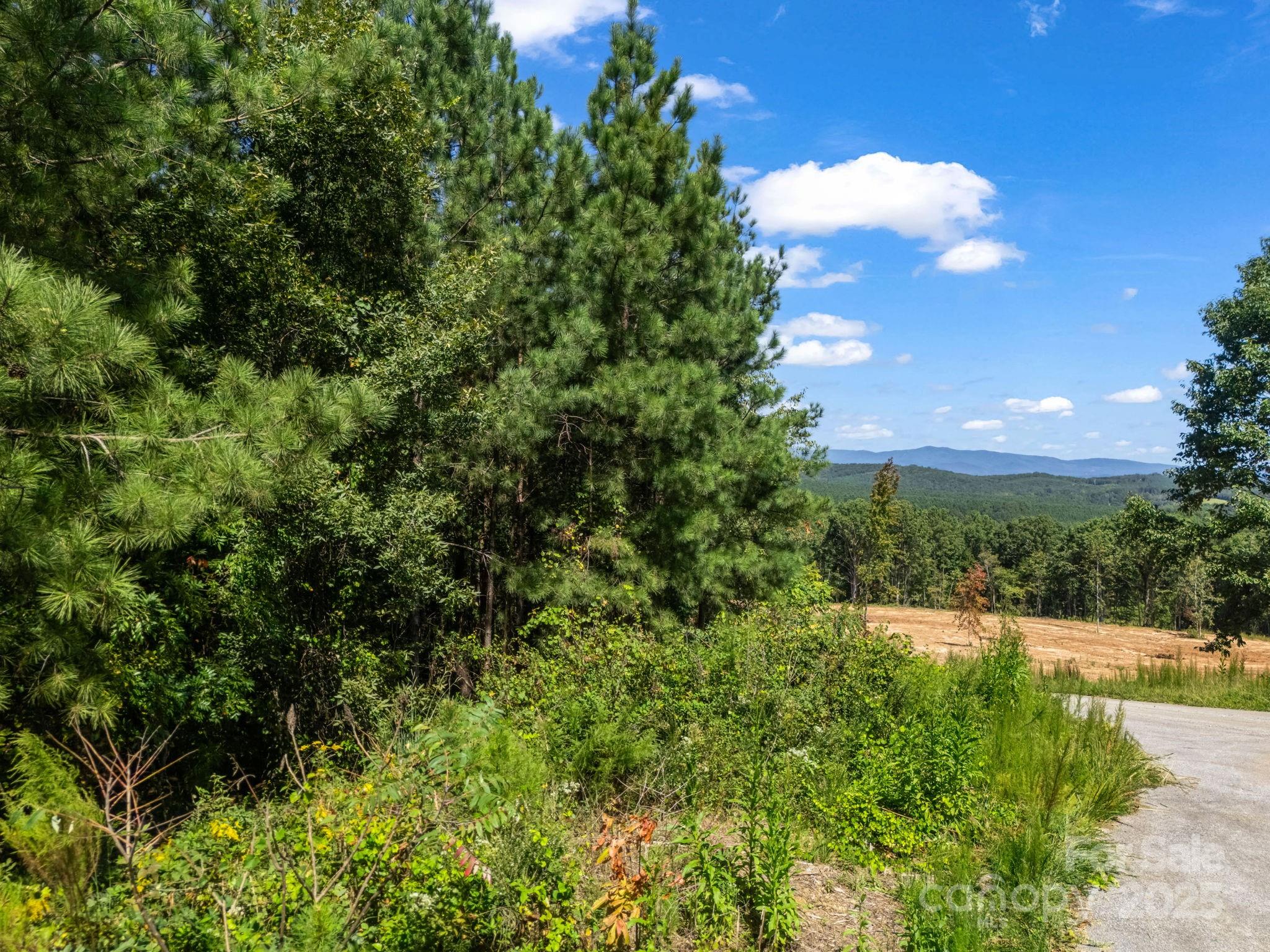 Moore Mountain Farms - Land