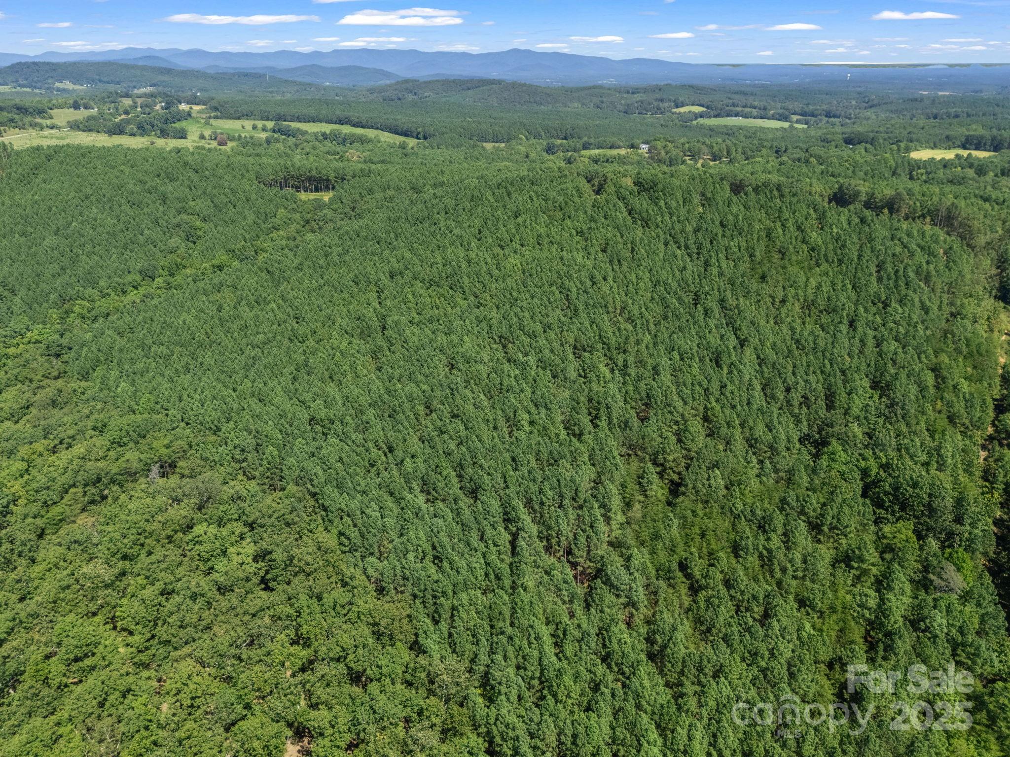 Moore Mountain Farms - Land