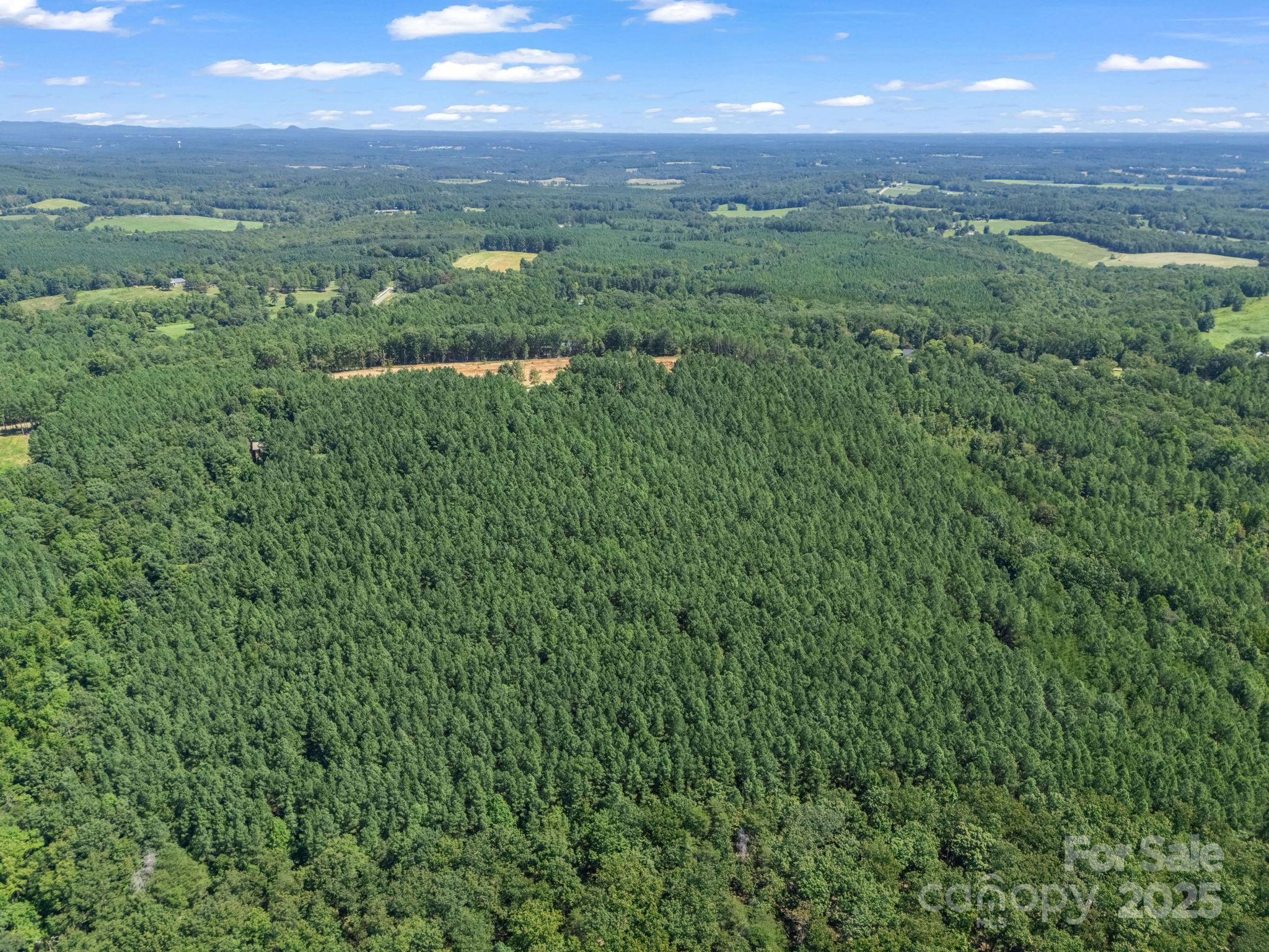 Moore Mountain Farms - Land