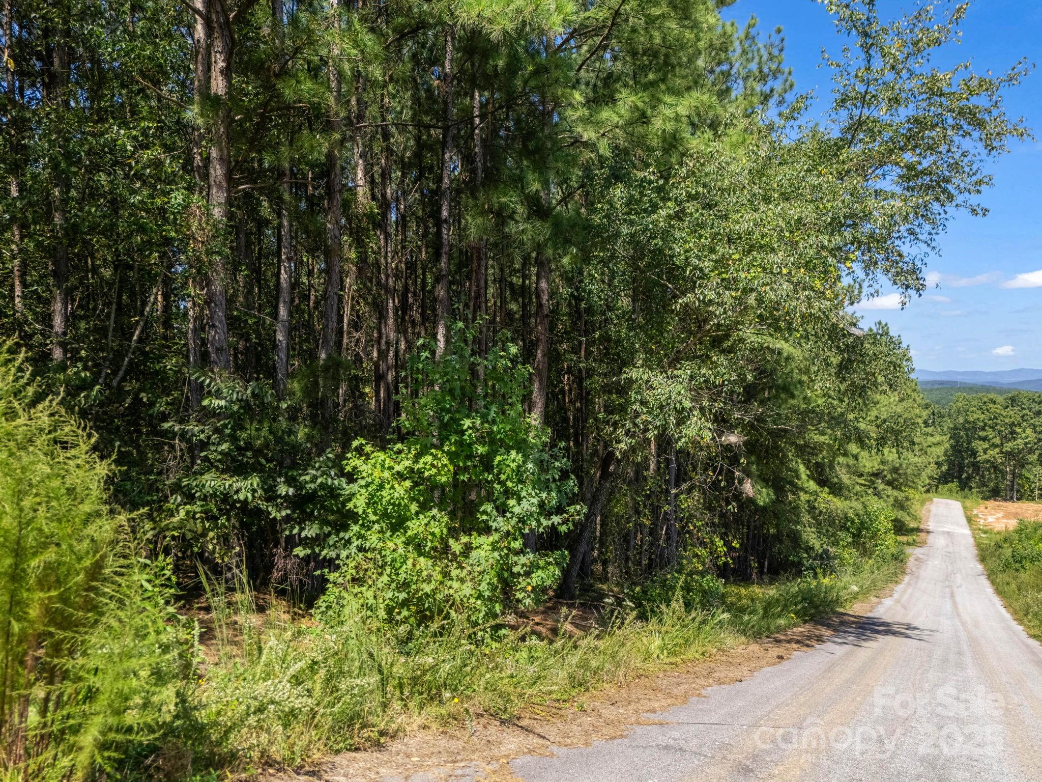 Moore Mountain Farms - Land