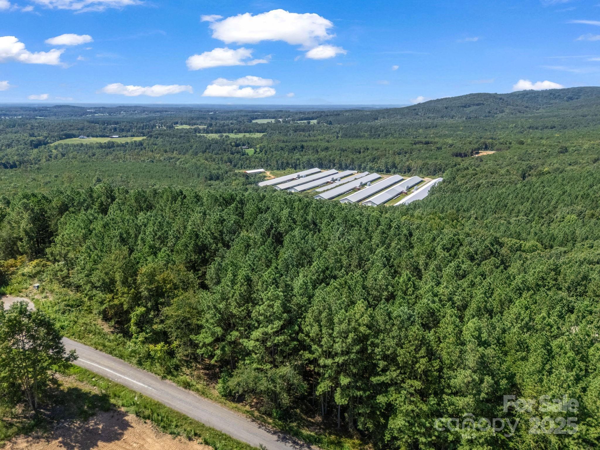 Moore Mountain Farms - Land