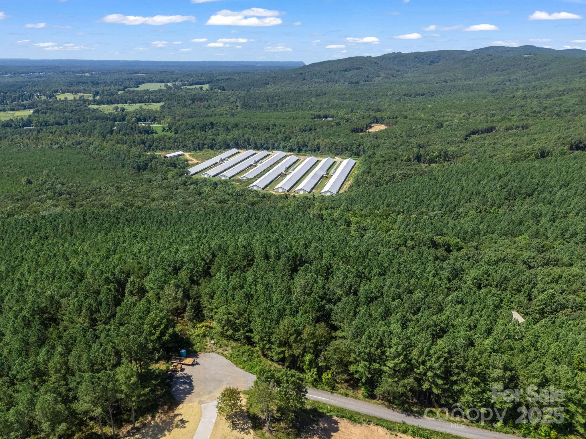 Moore Mountain Farms - Land