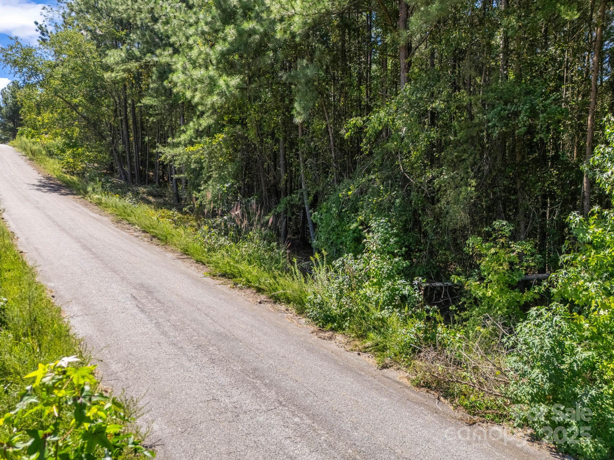 Moore Mountain Farms - Land