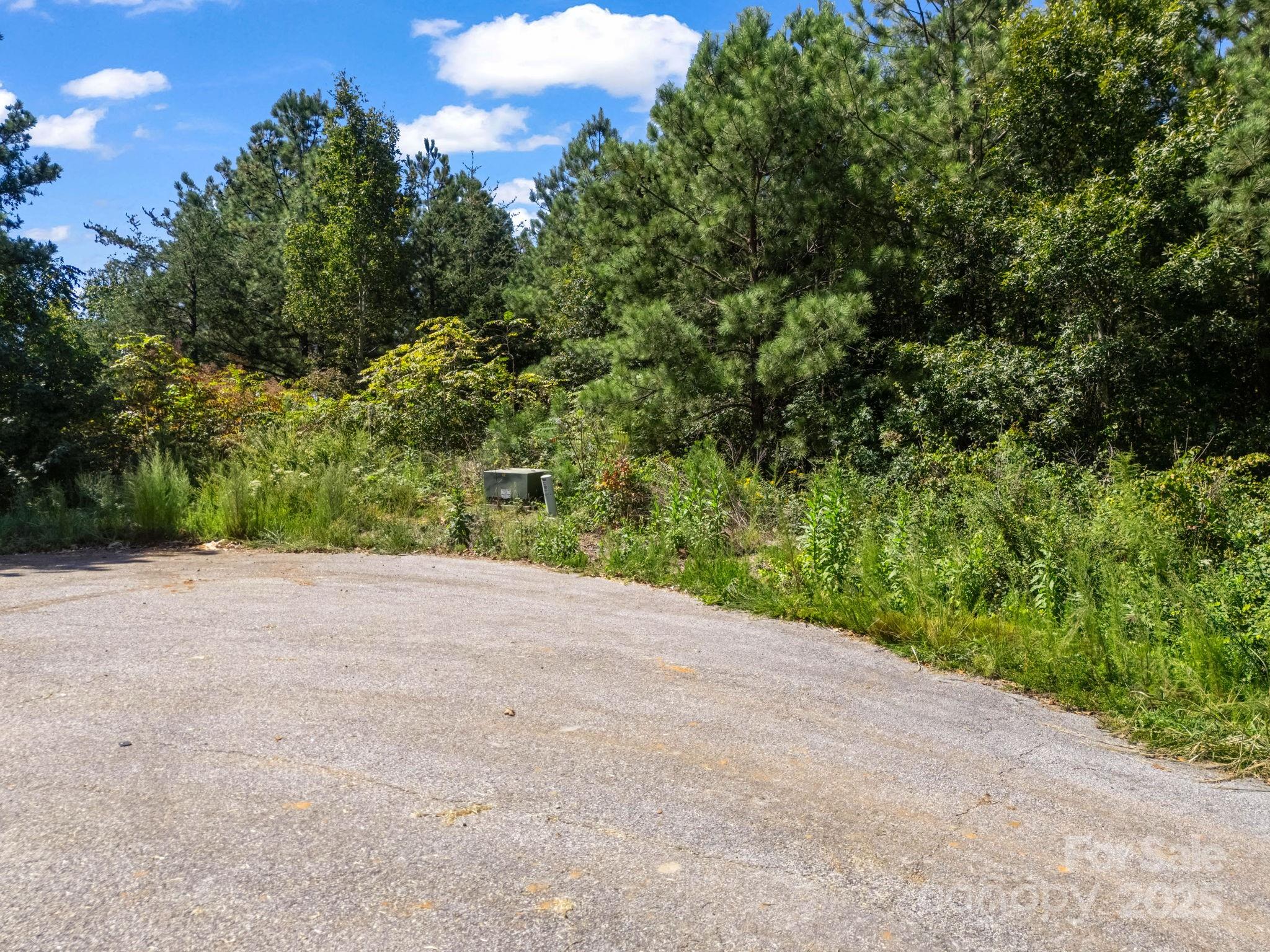 Moore Mountain Farms - Land