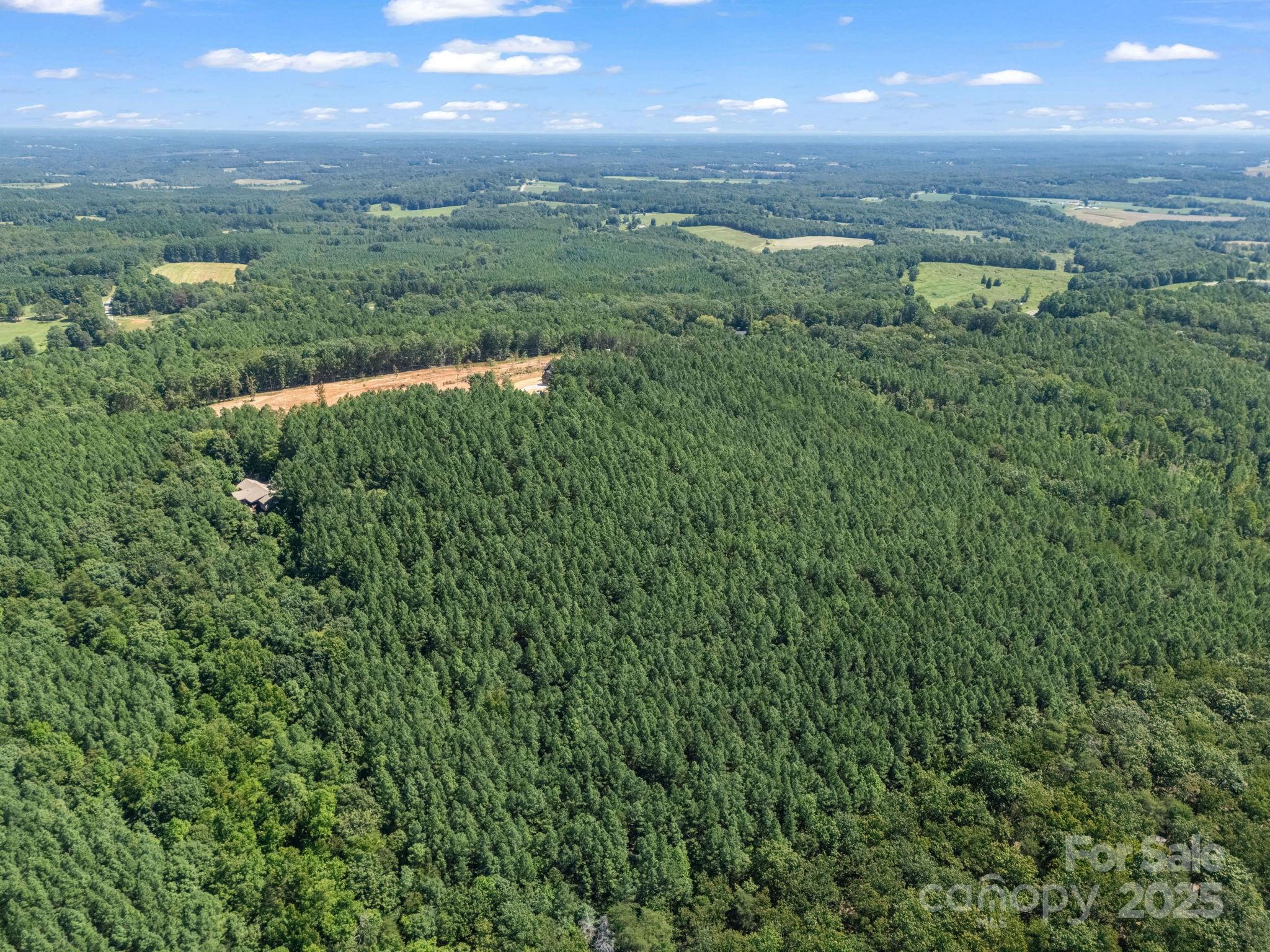 Moore Mountain Farms - Land