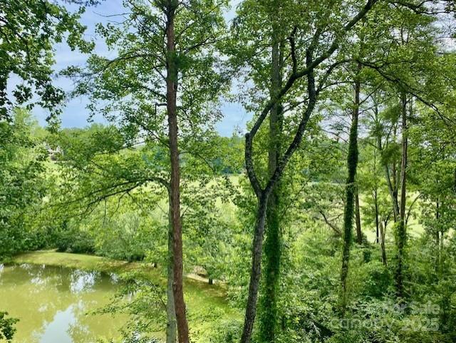 Rumbling Bald on Lake Lure - Residential