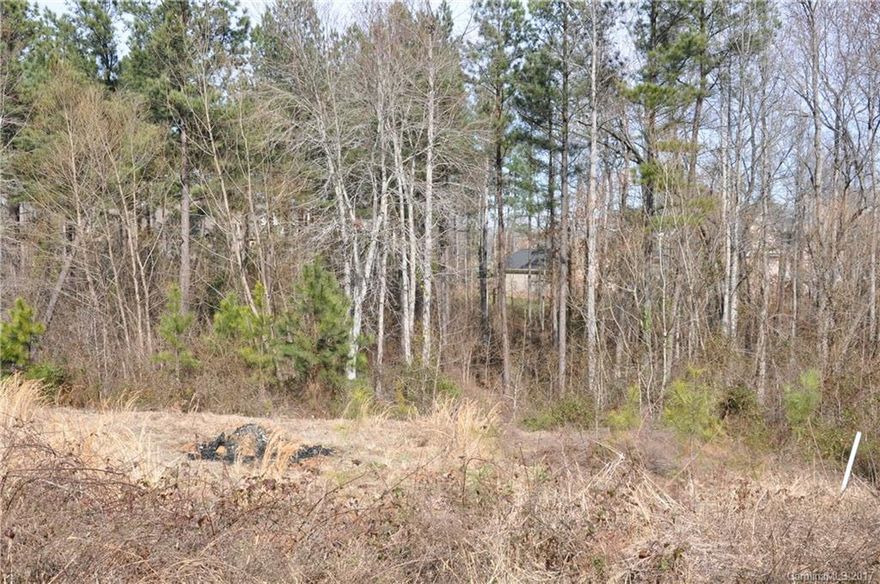 Over an acre lot in Lake Wylie area. Clover School District!  No HOAs