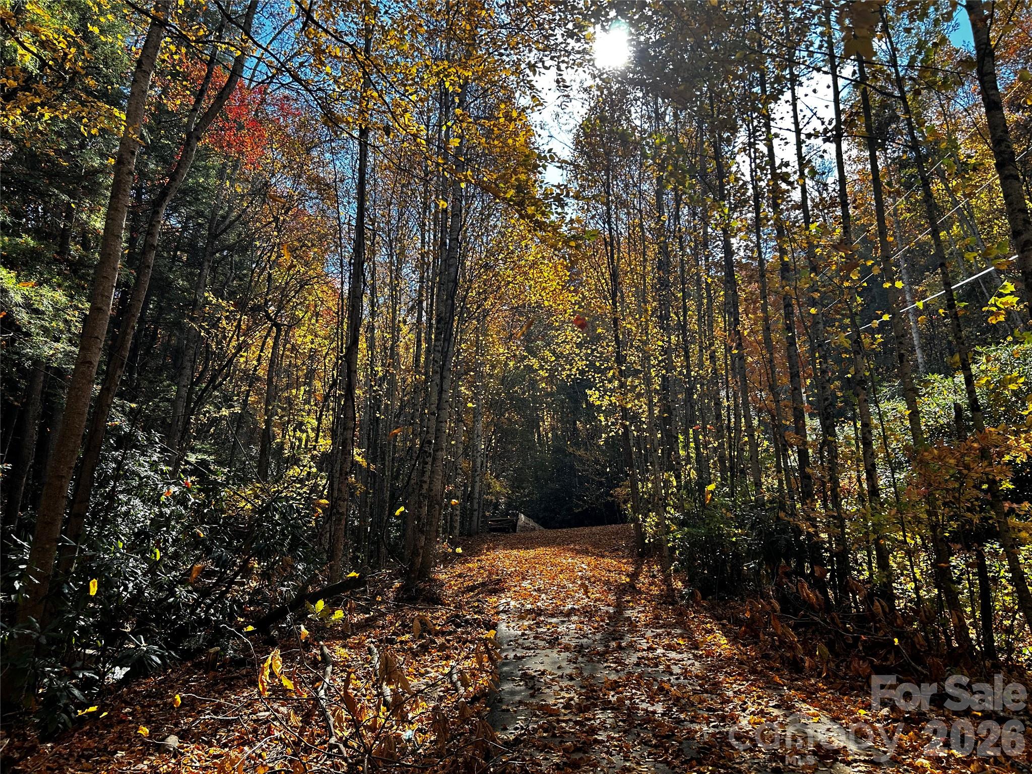 119 Wildflower Cove Drive