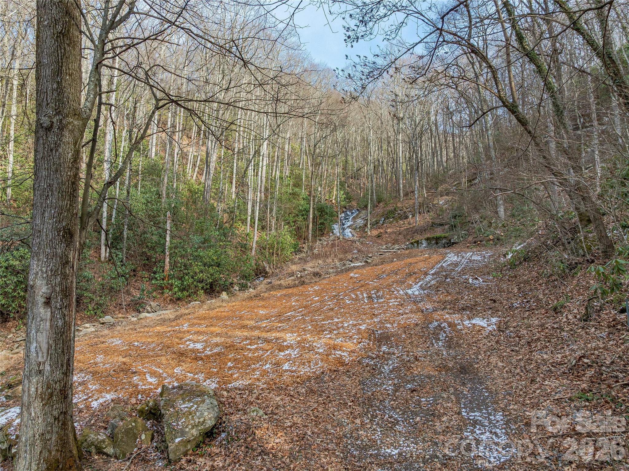 Alpine Mountain - Land