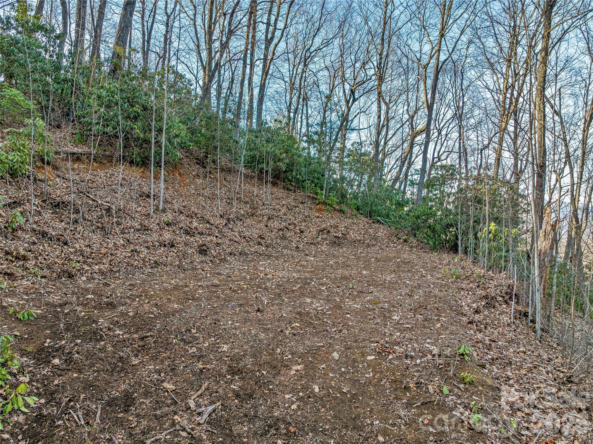 Alpine Mountain - Land