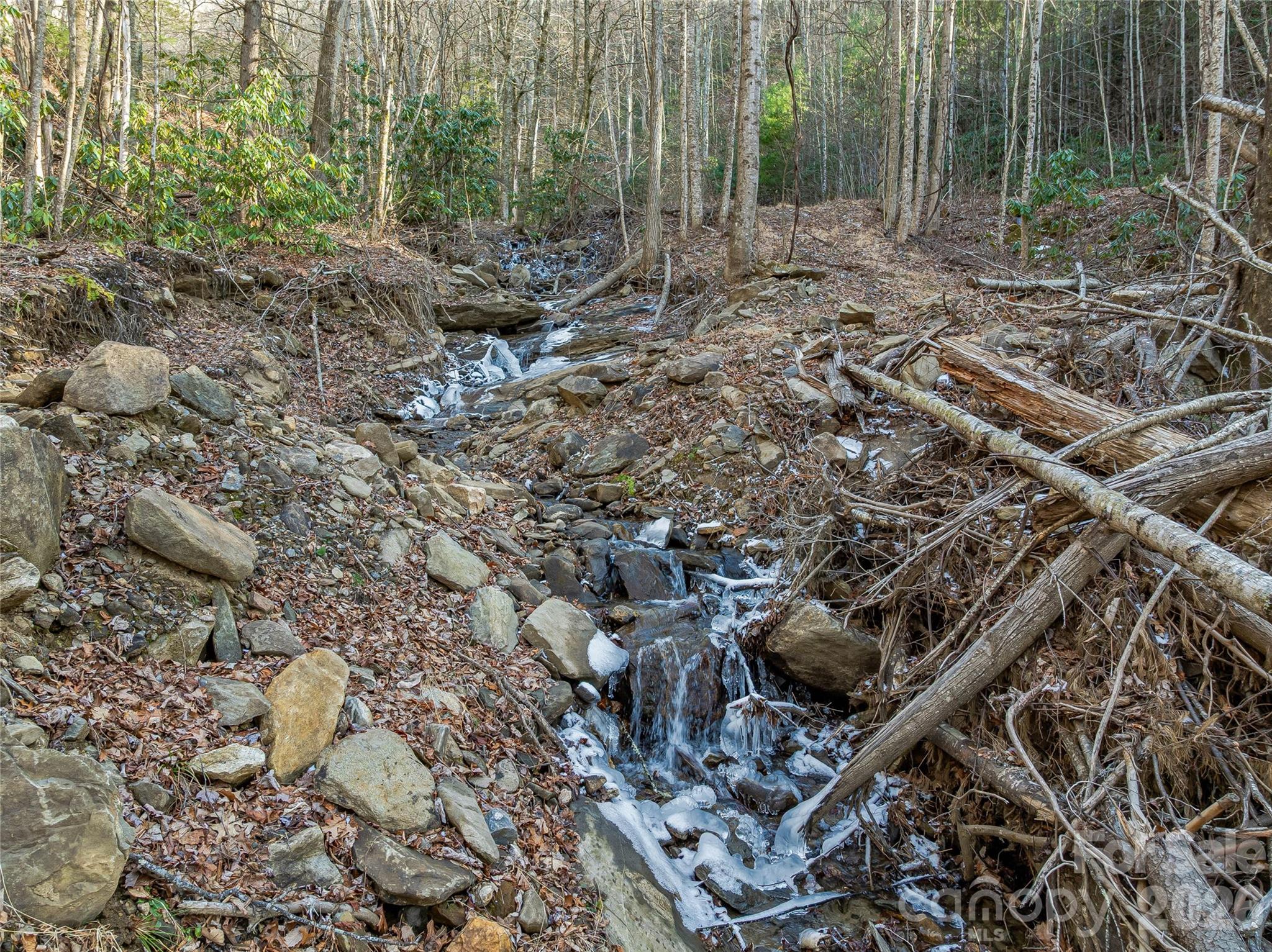 Alpine Mountain - Land