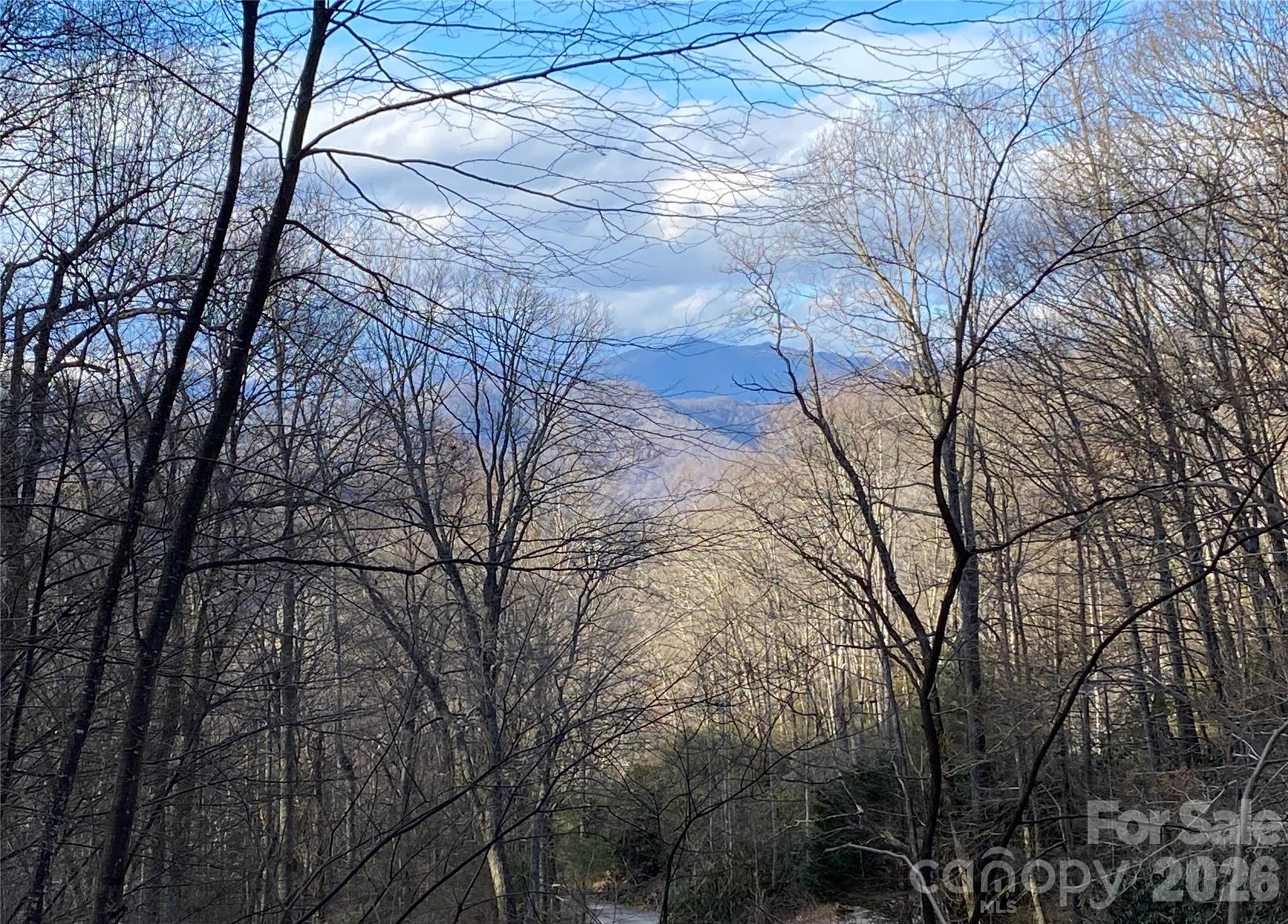 119 Wildflower Cove Drive