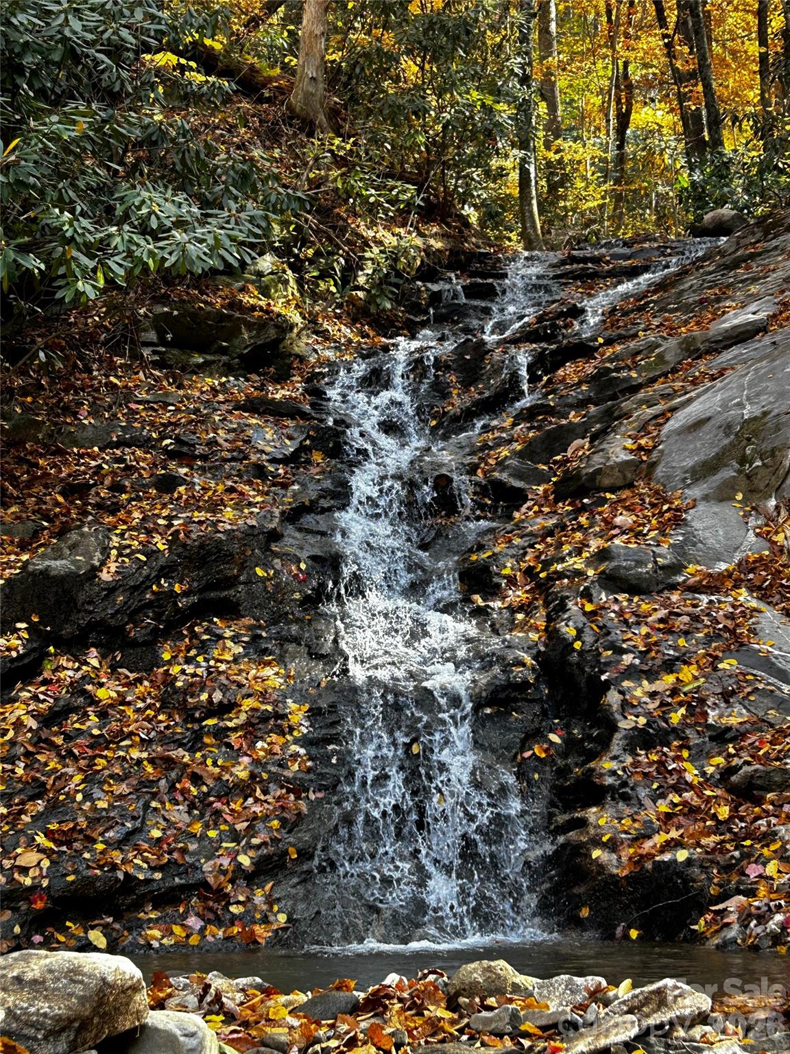 119 Wildflower Cove Drive