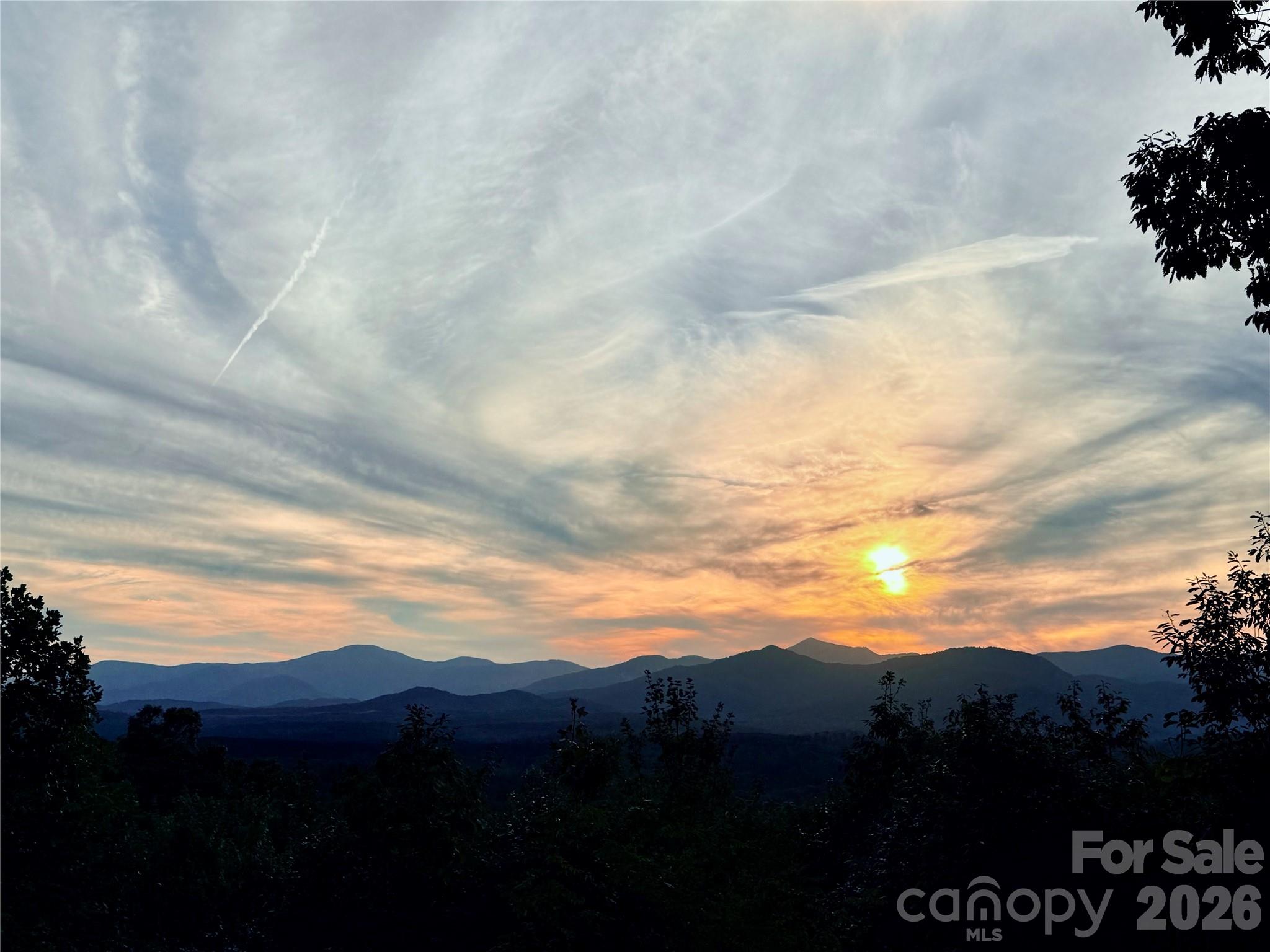 New Forest Mountain - Commercial Sale