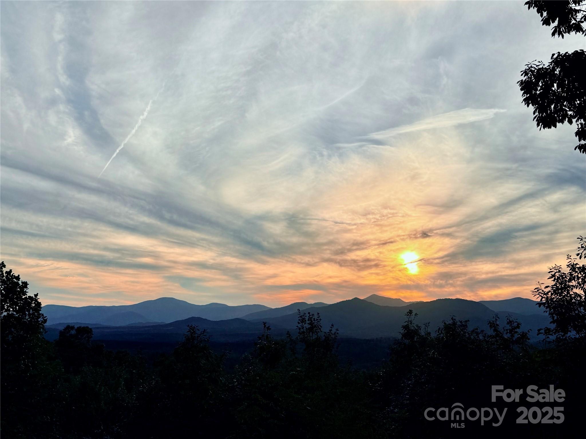 New Forest Mountain - Commercial Sale