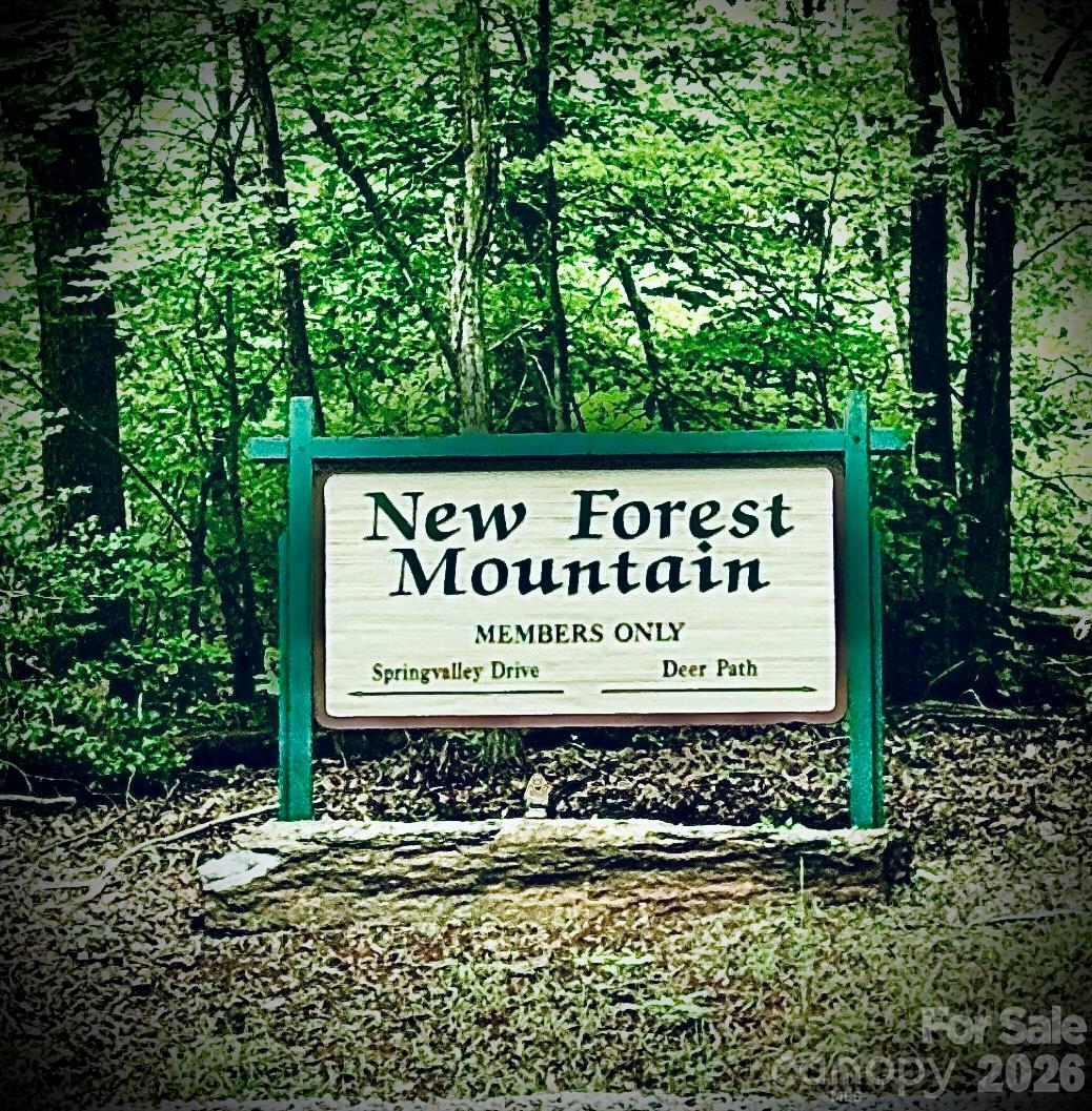 New Forest Mountain - Commercial Sale