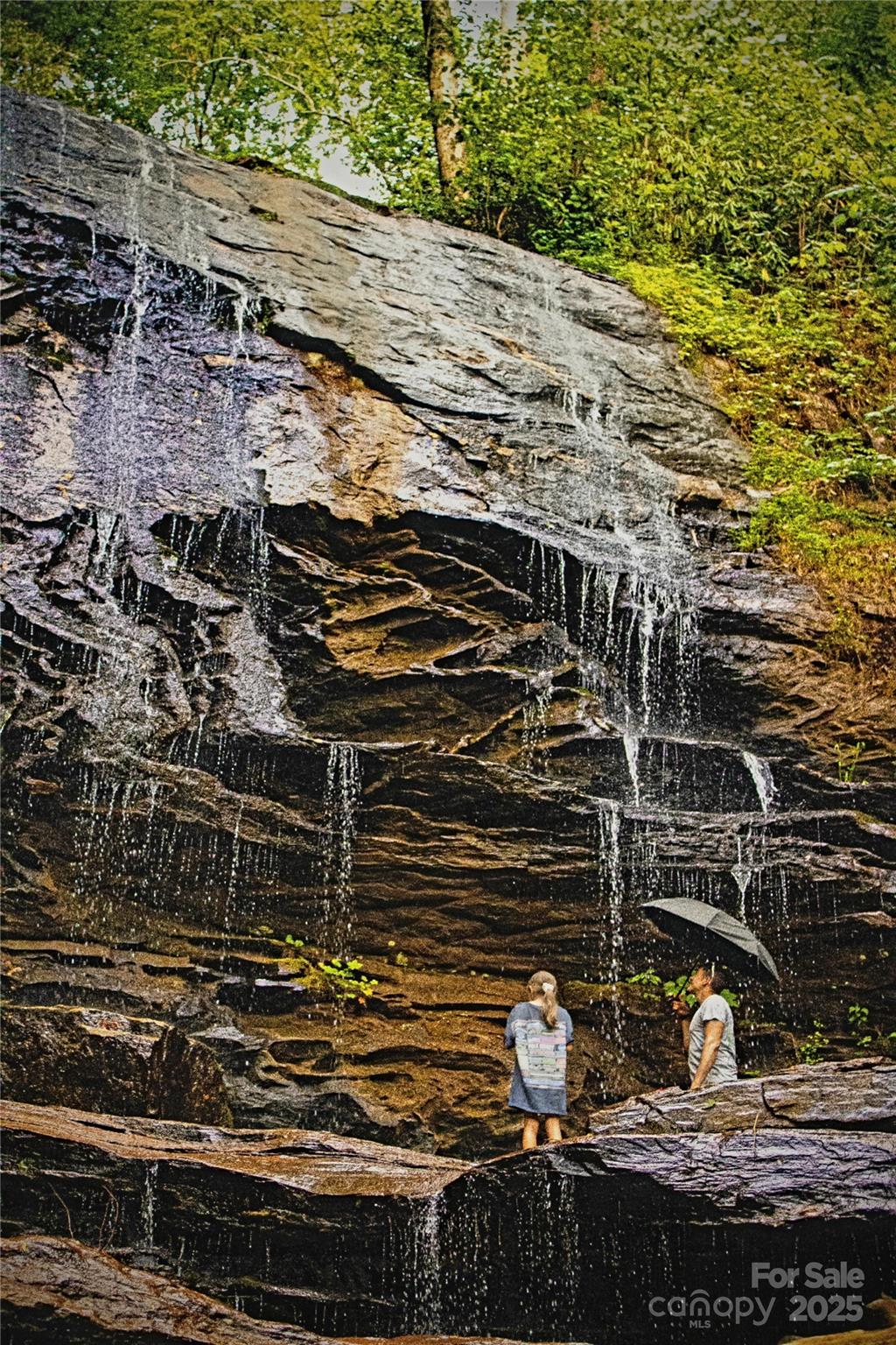 New Forest Mountain - Commercial Sale