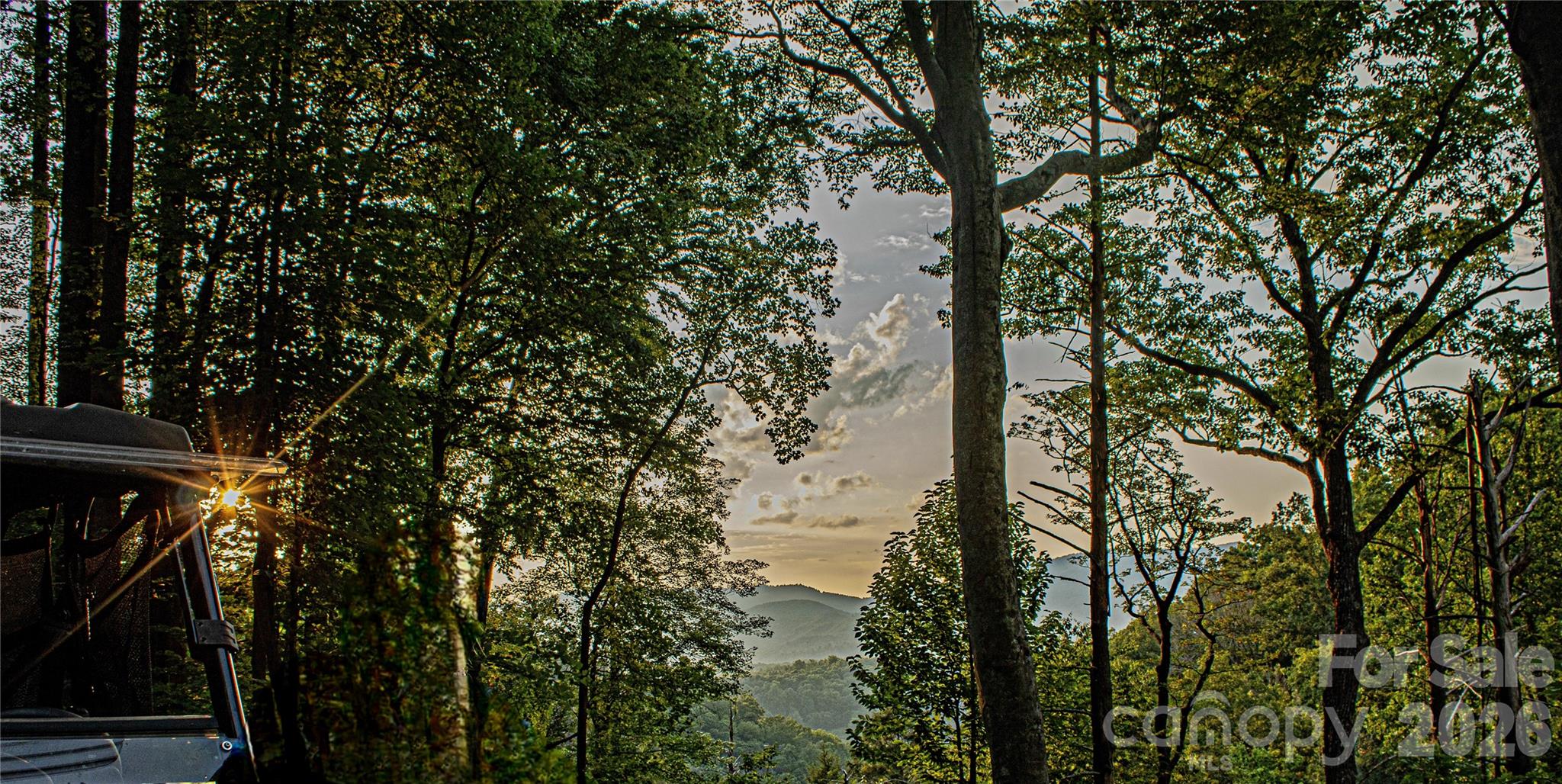 New Forest Mountain - Commercial Sale