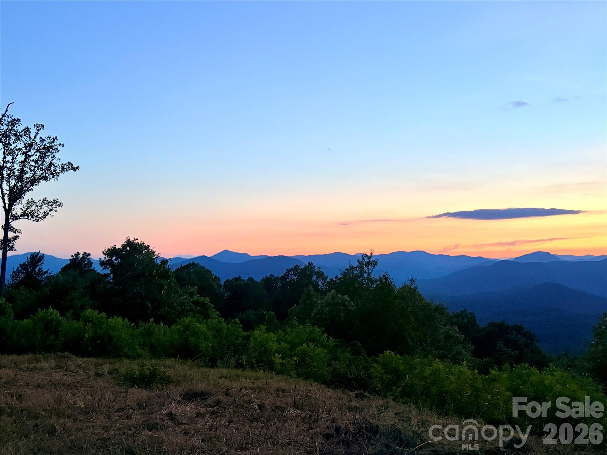 New Forest Mountain - Commercial Sale