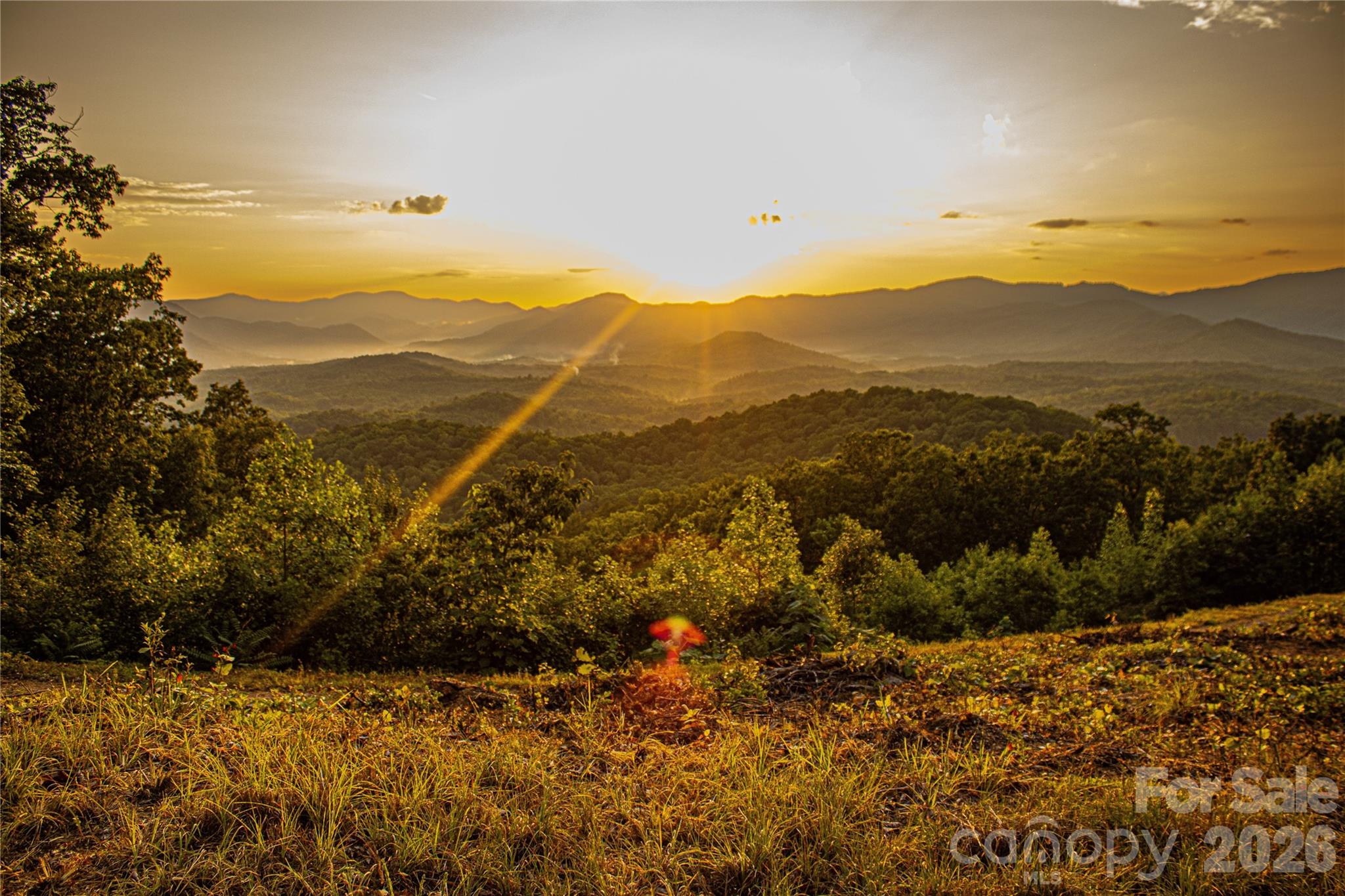 New Forest Mountain - Commercial Sale