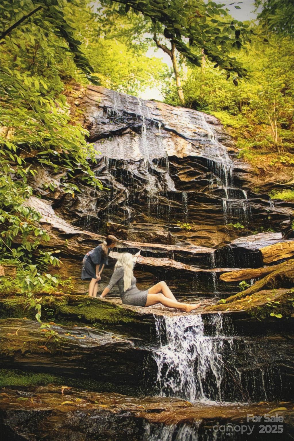 New Forest Mountain - Commercial Sale