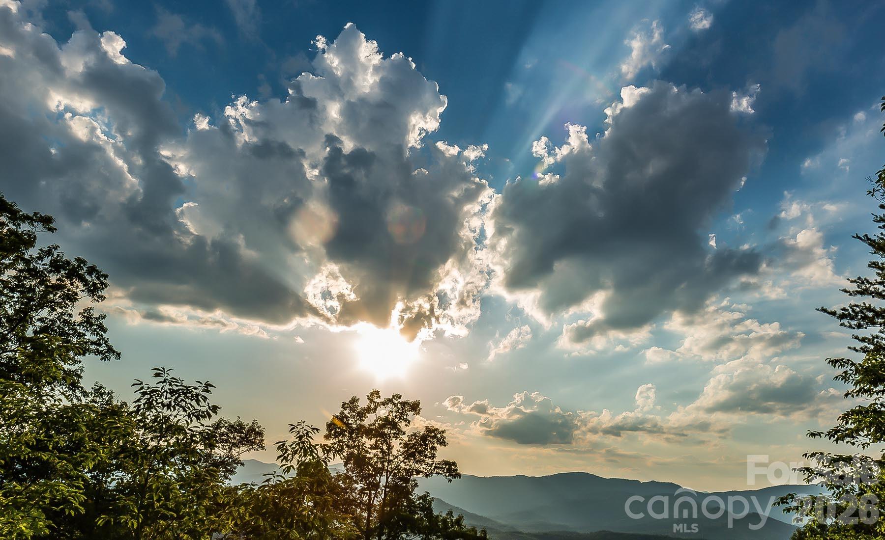 New Forest Mountain - Commercial Sale