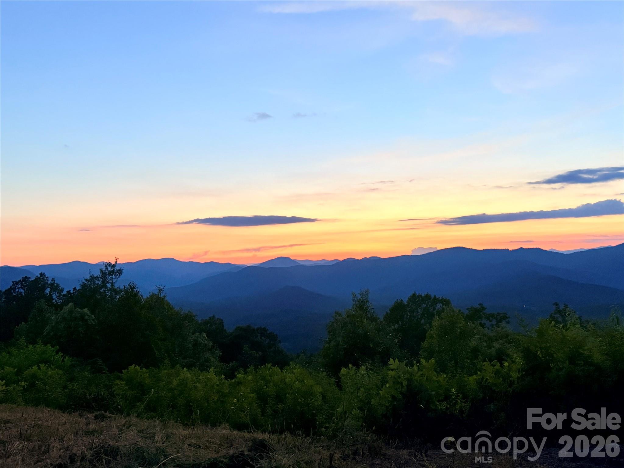 New Forest Mountain - Commercial Sale