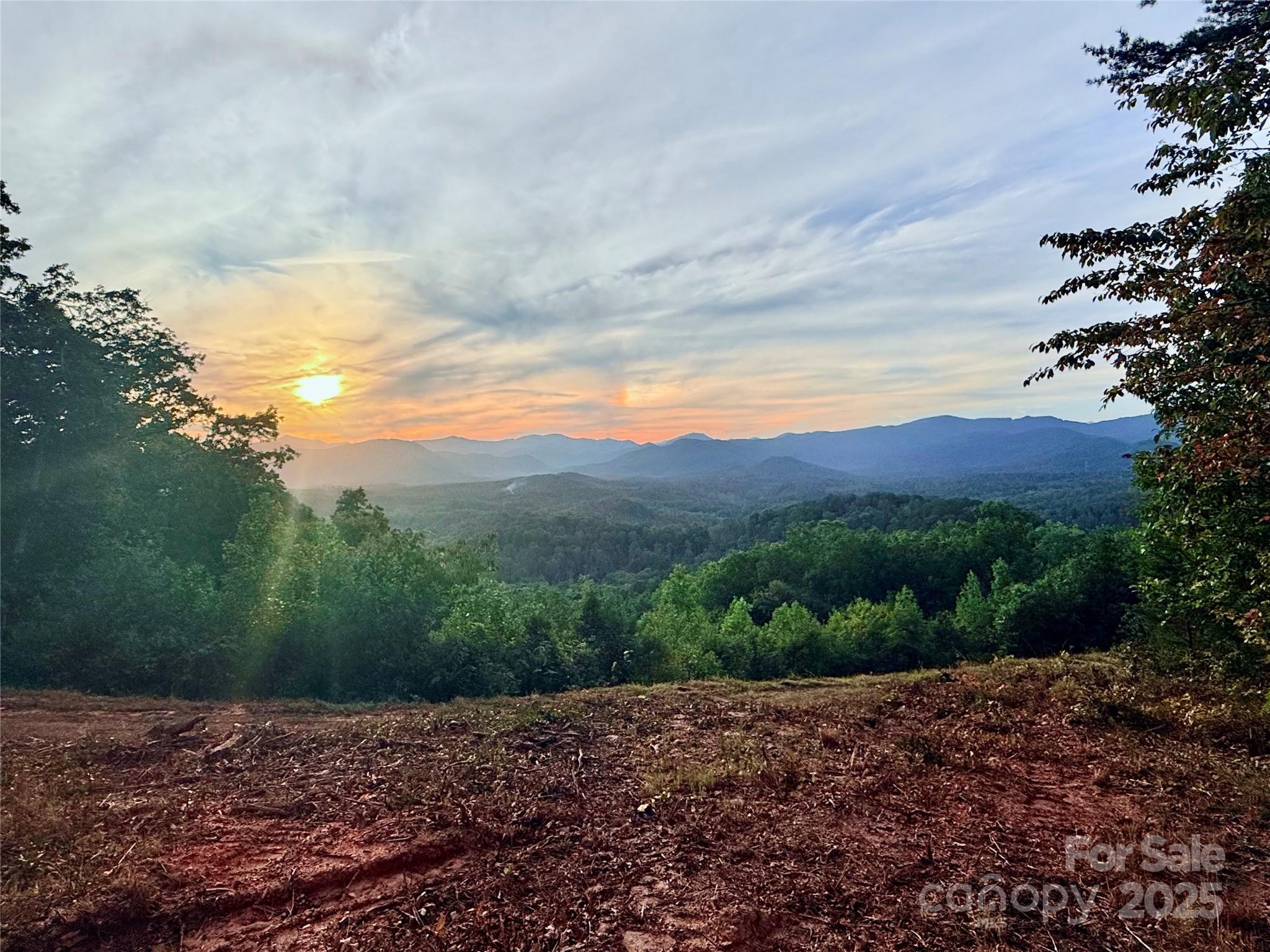 New Forest Mountain - Commercial Sale