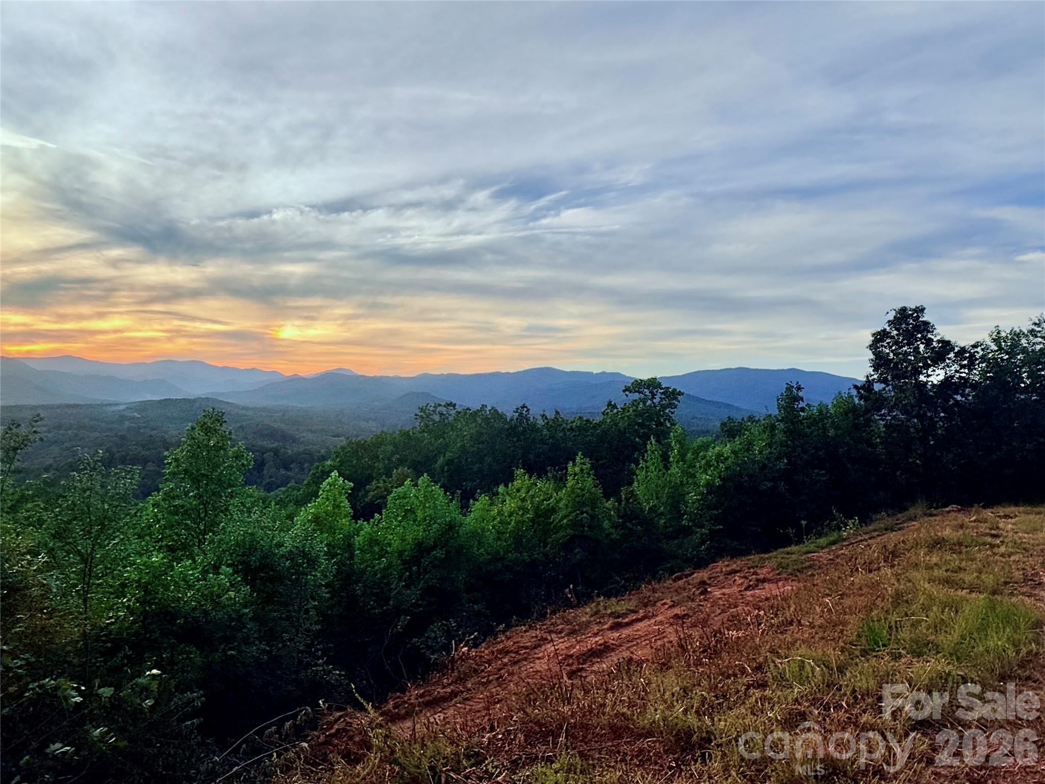 New Forest Mountain - Commercial Sale