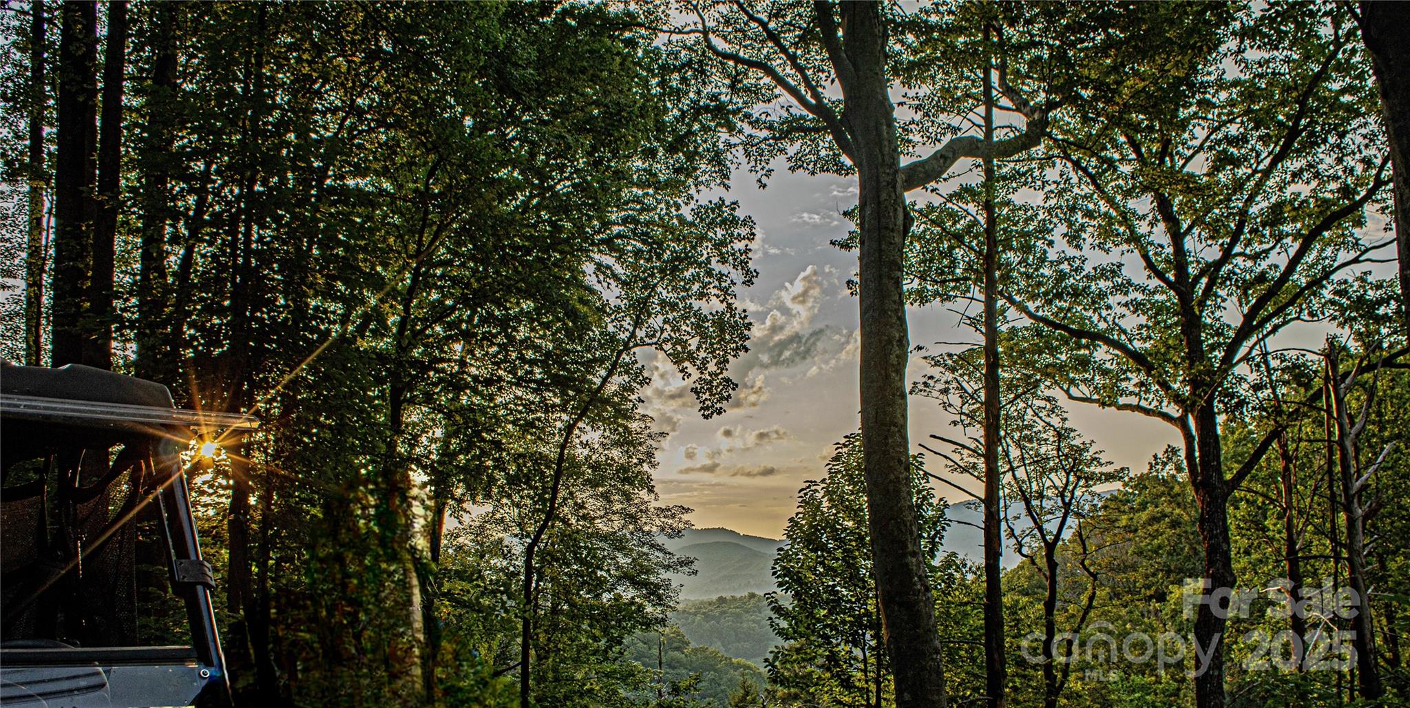 New Forest Mountain - Commercial Sale