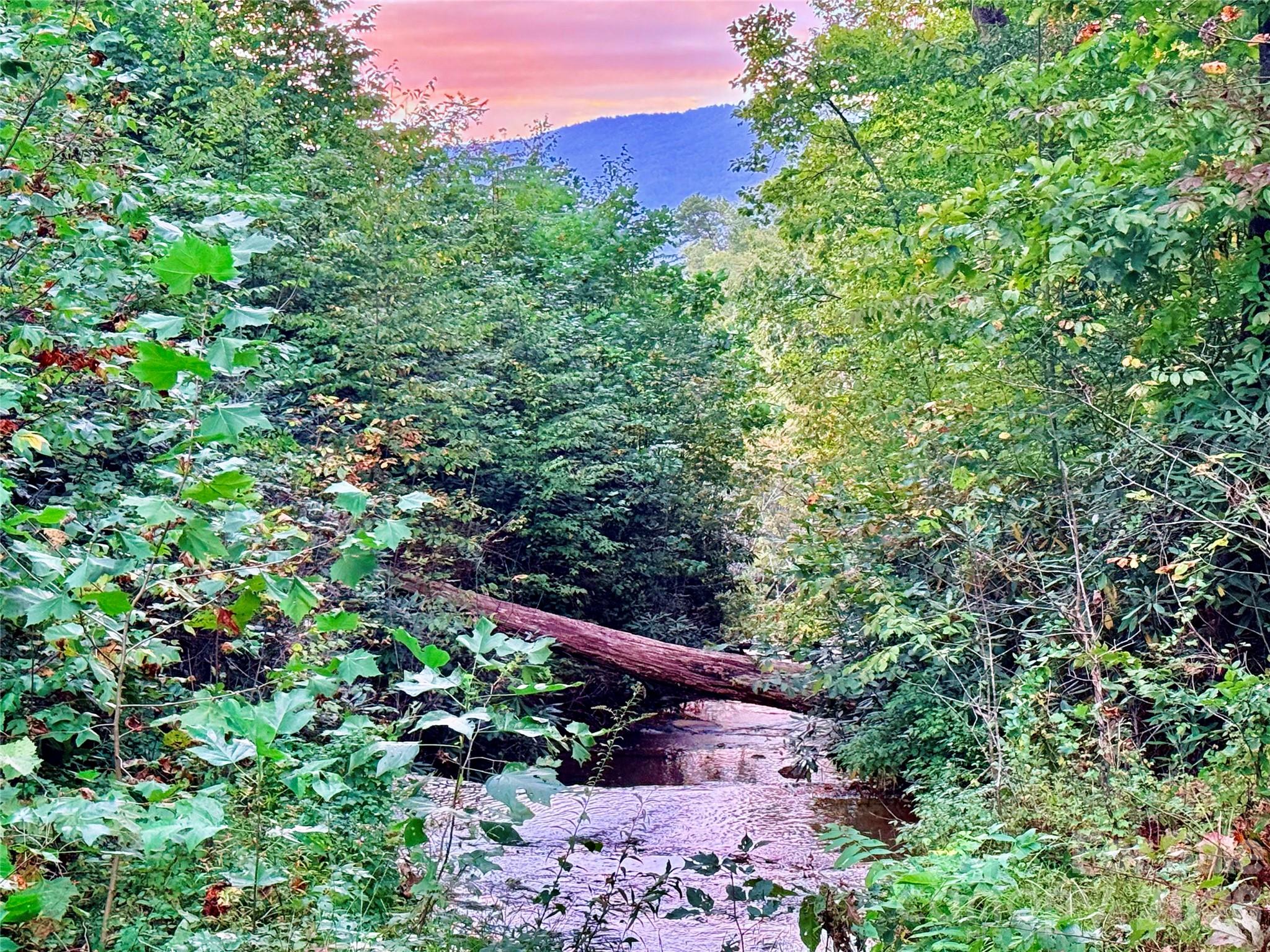 New Forest Mountain - Commercial Sale