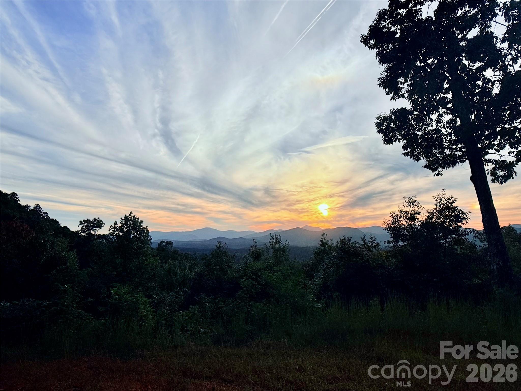 New Forest Mountain - Commercial Sale