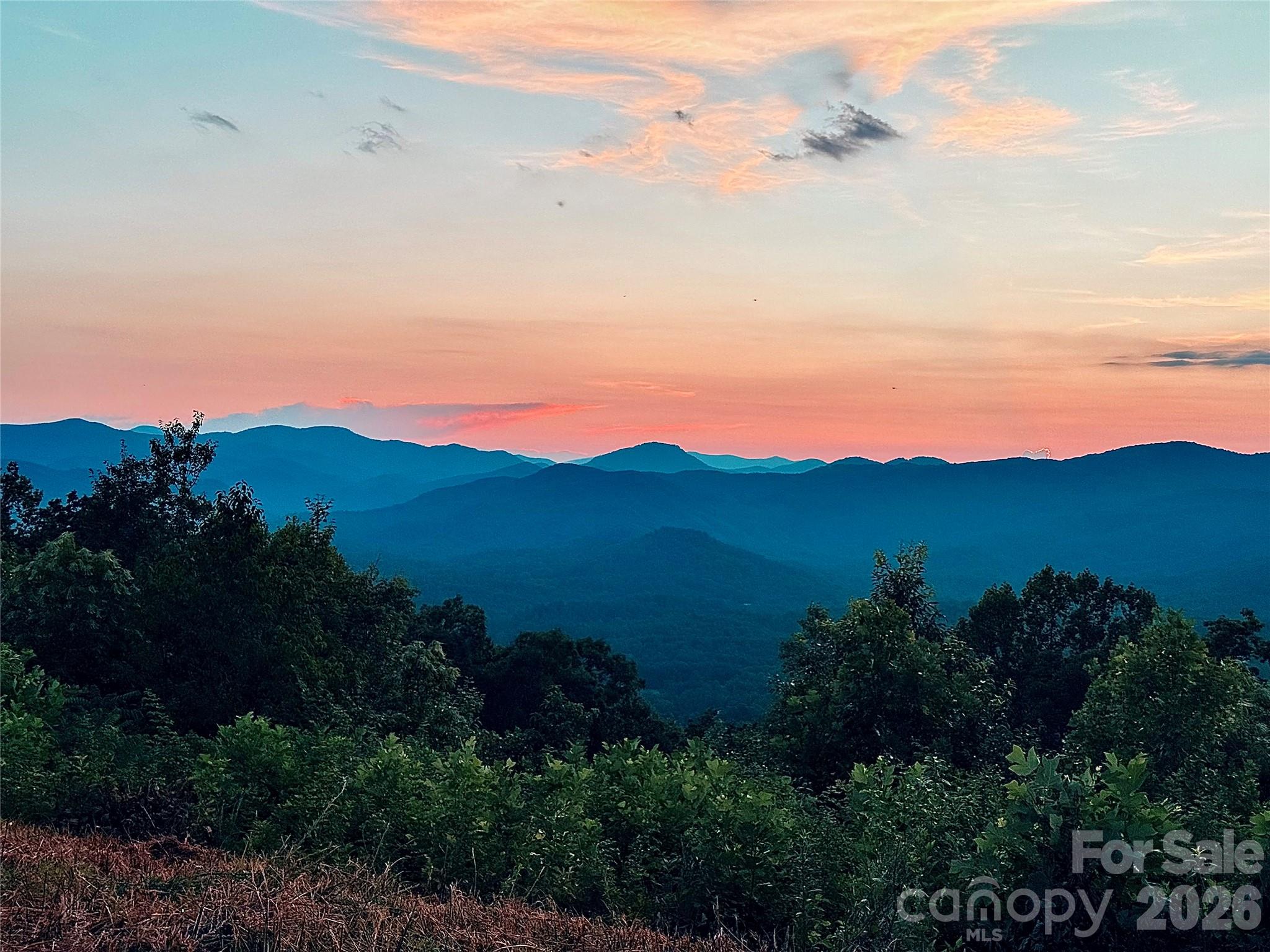 New Forest Mountain - Commercial Sale