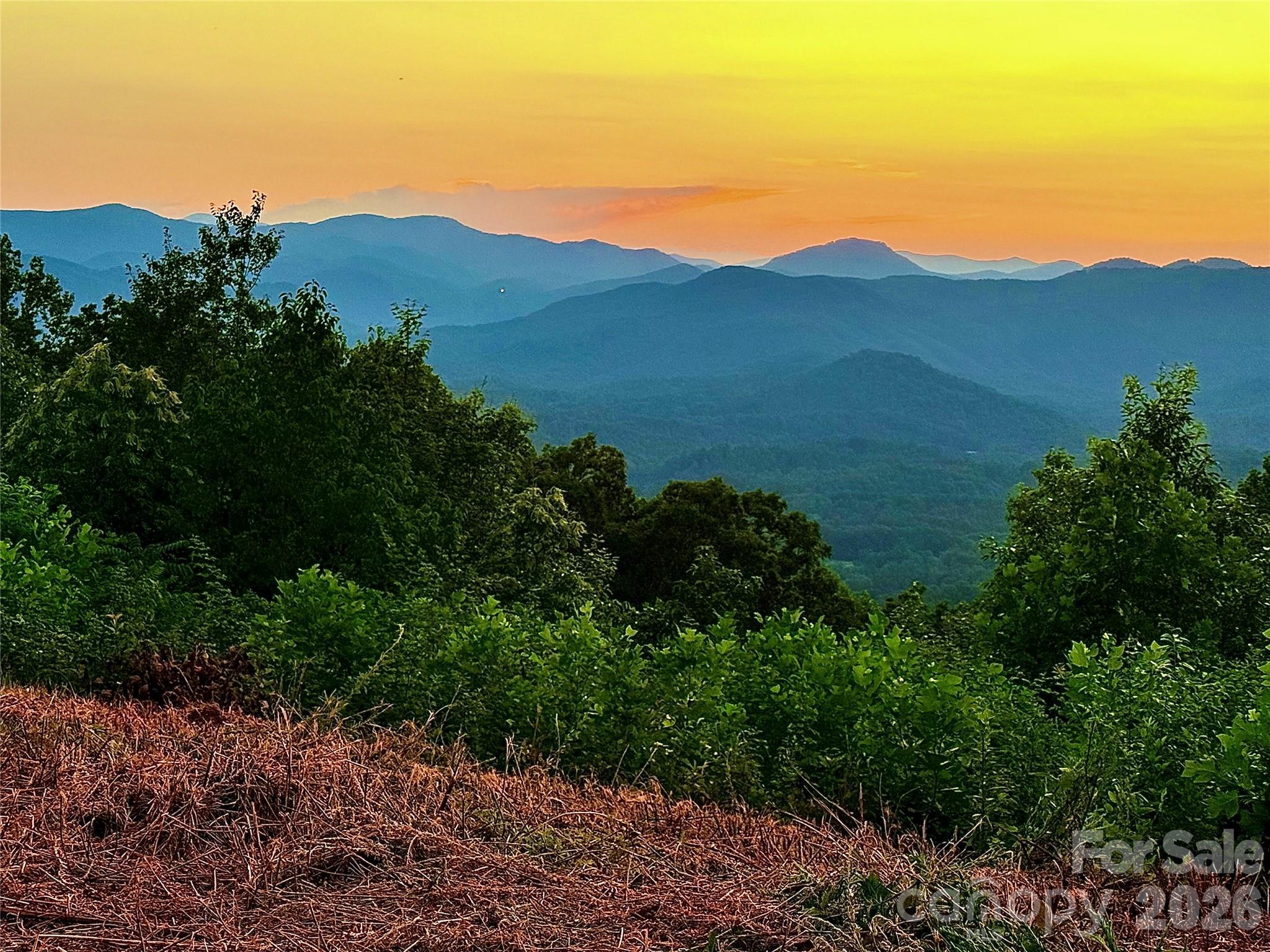 New Forest Mountain - Commercial Sale