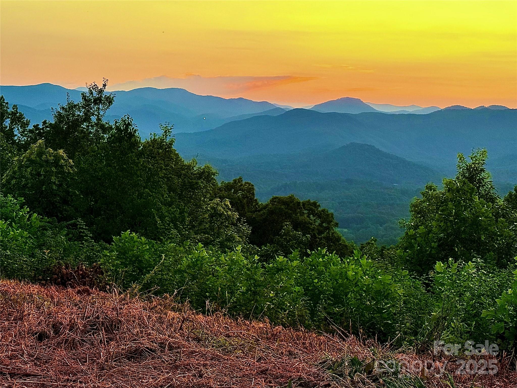 New Forest Mountain - Commercial Sale