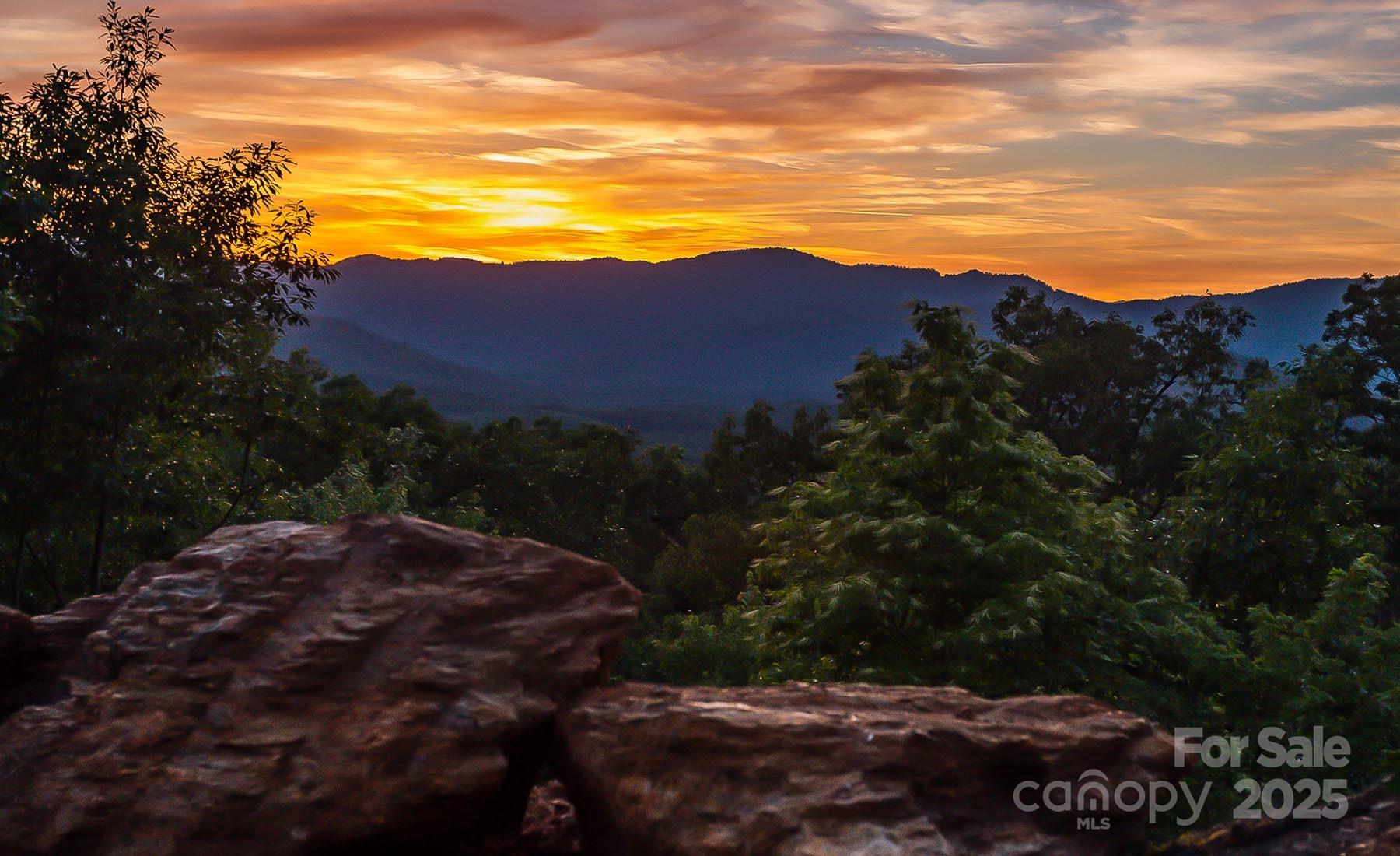 New Forest Mountain - Commercial Sale