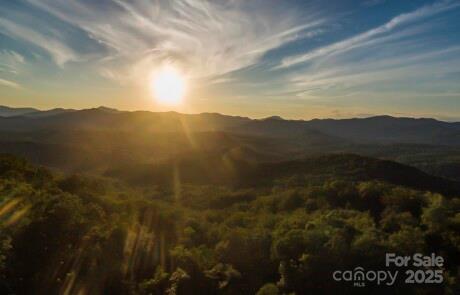 New Forest Mountain - Commercial Sale