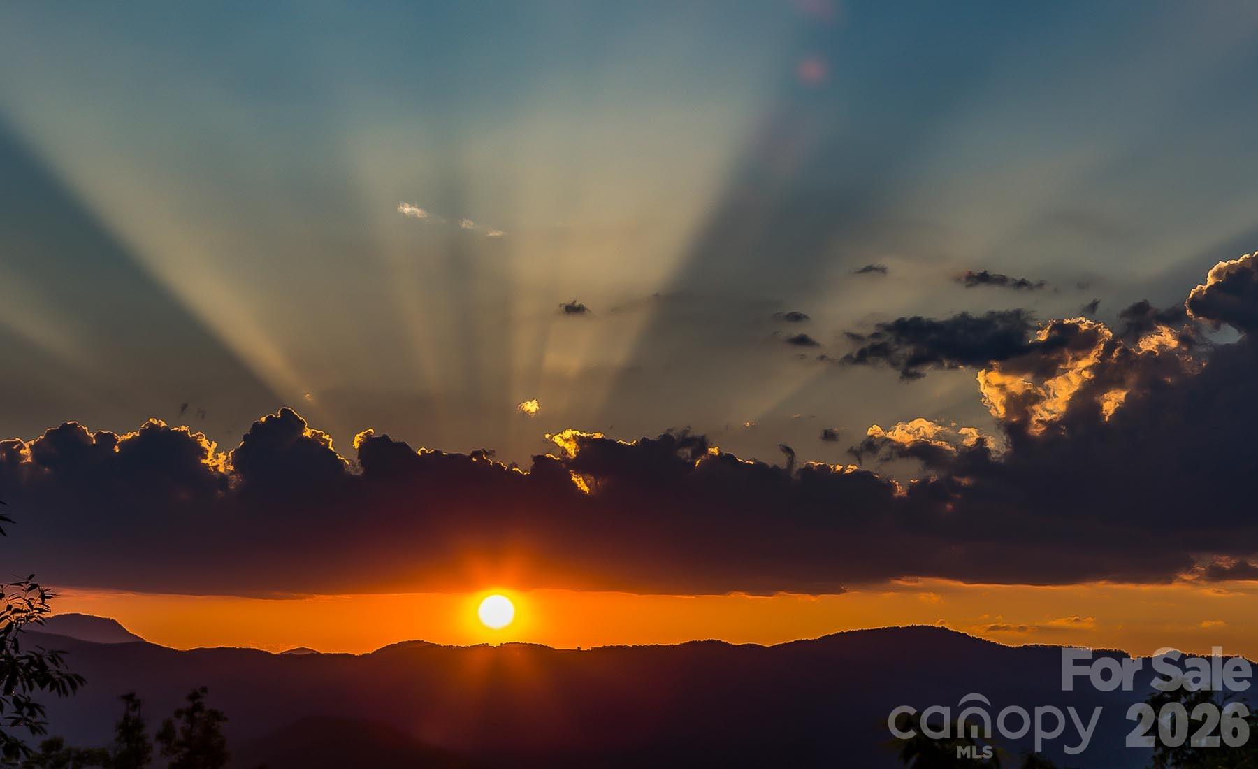 New Forest Mountain - Commercial Sale